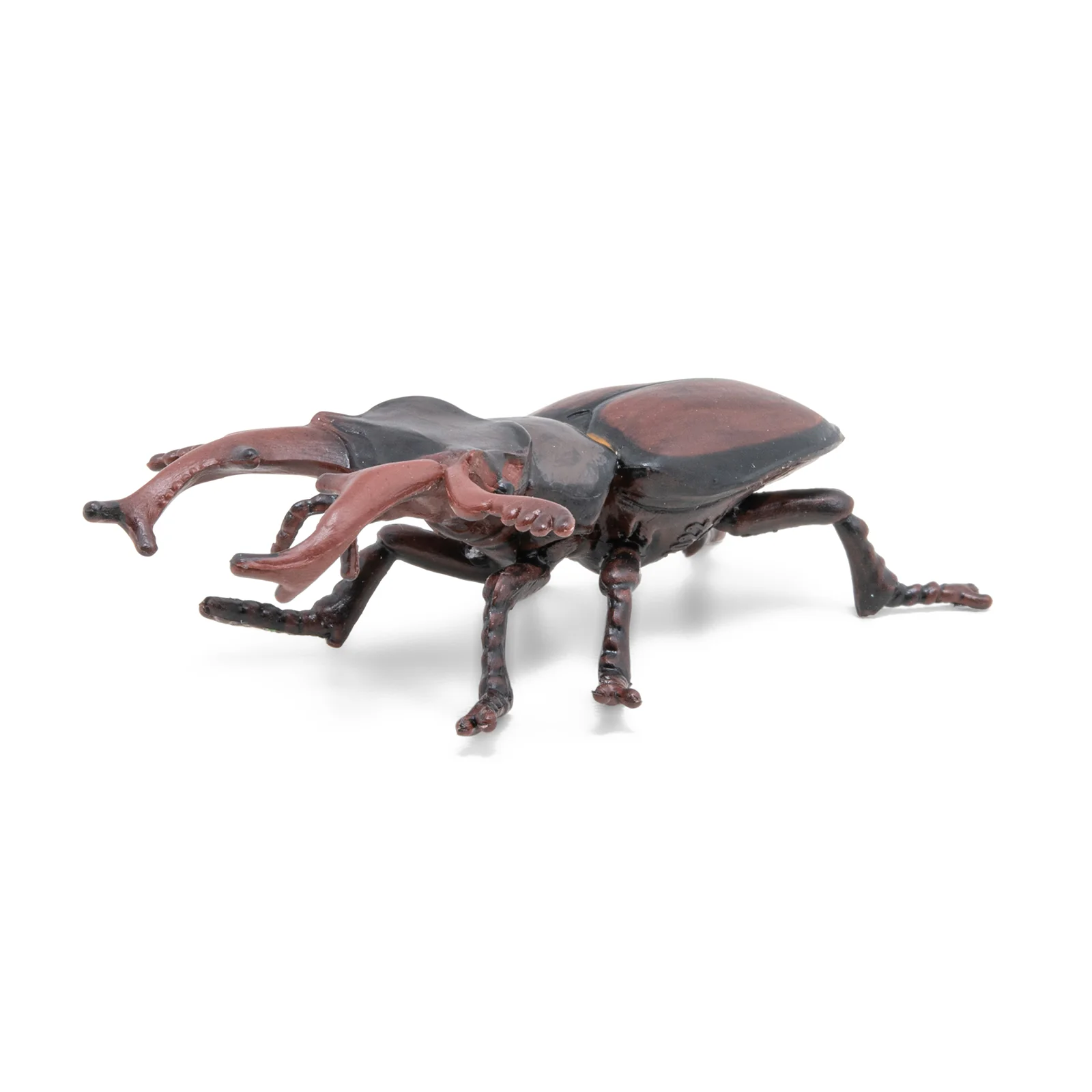 Miniature 5