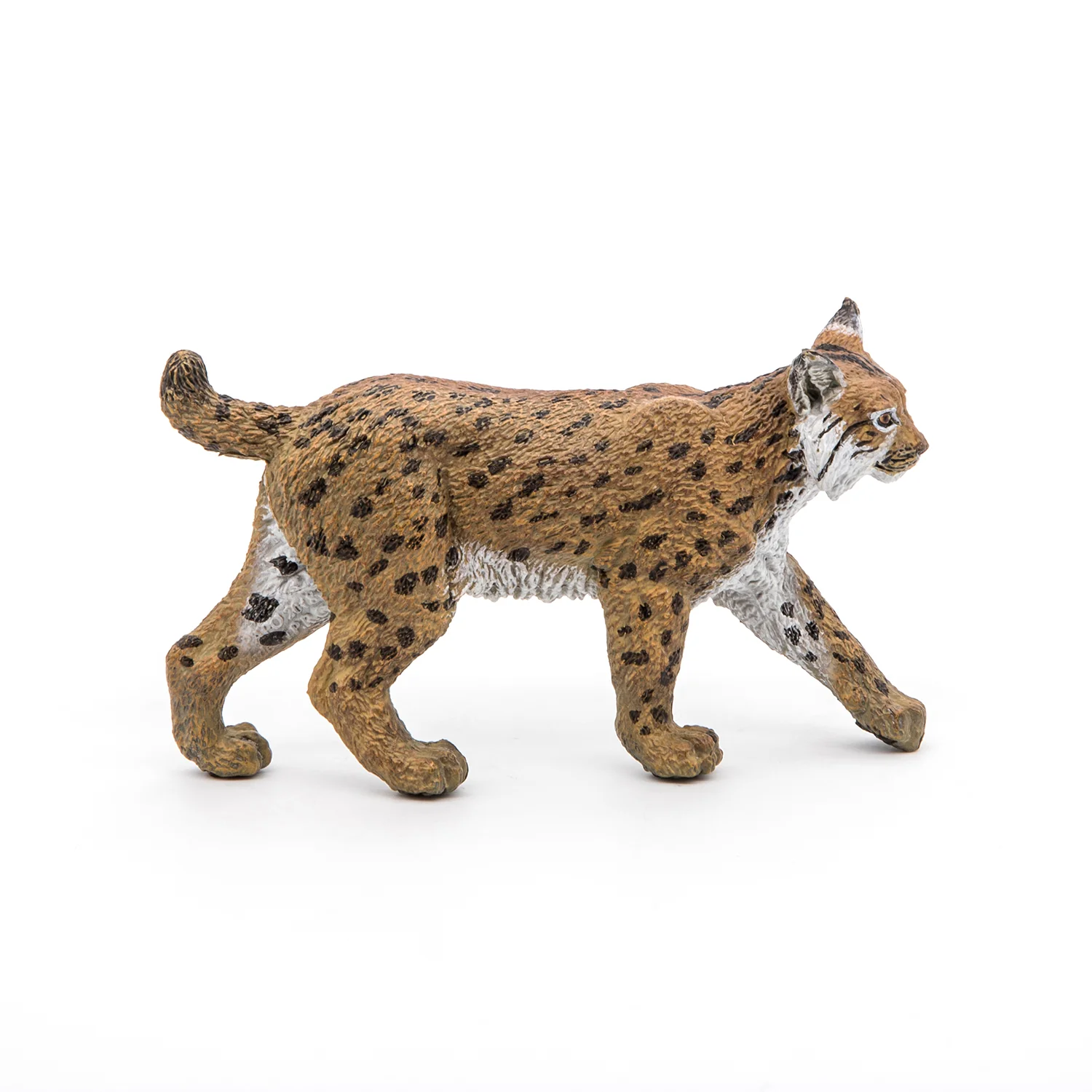 Miniature 5