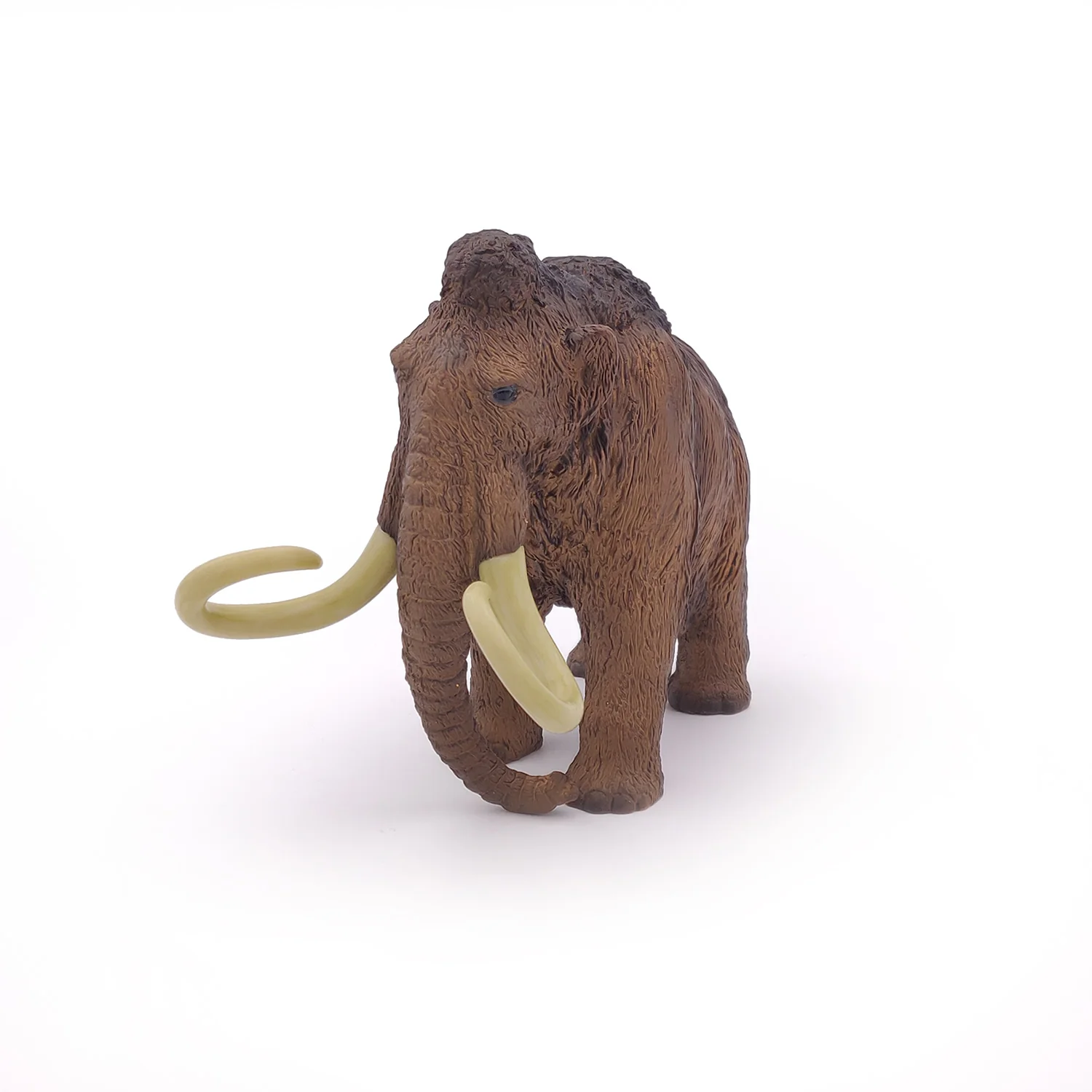 Miniature 5