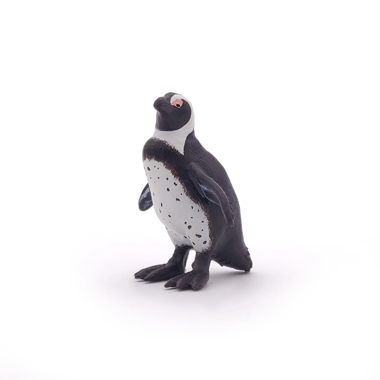 Miniature 4