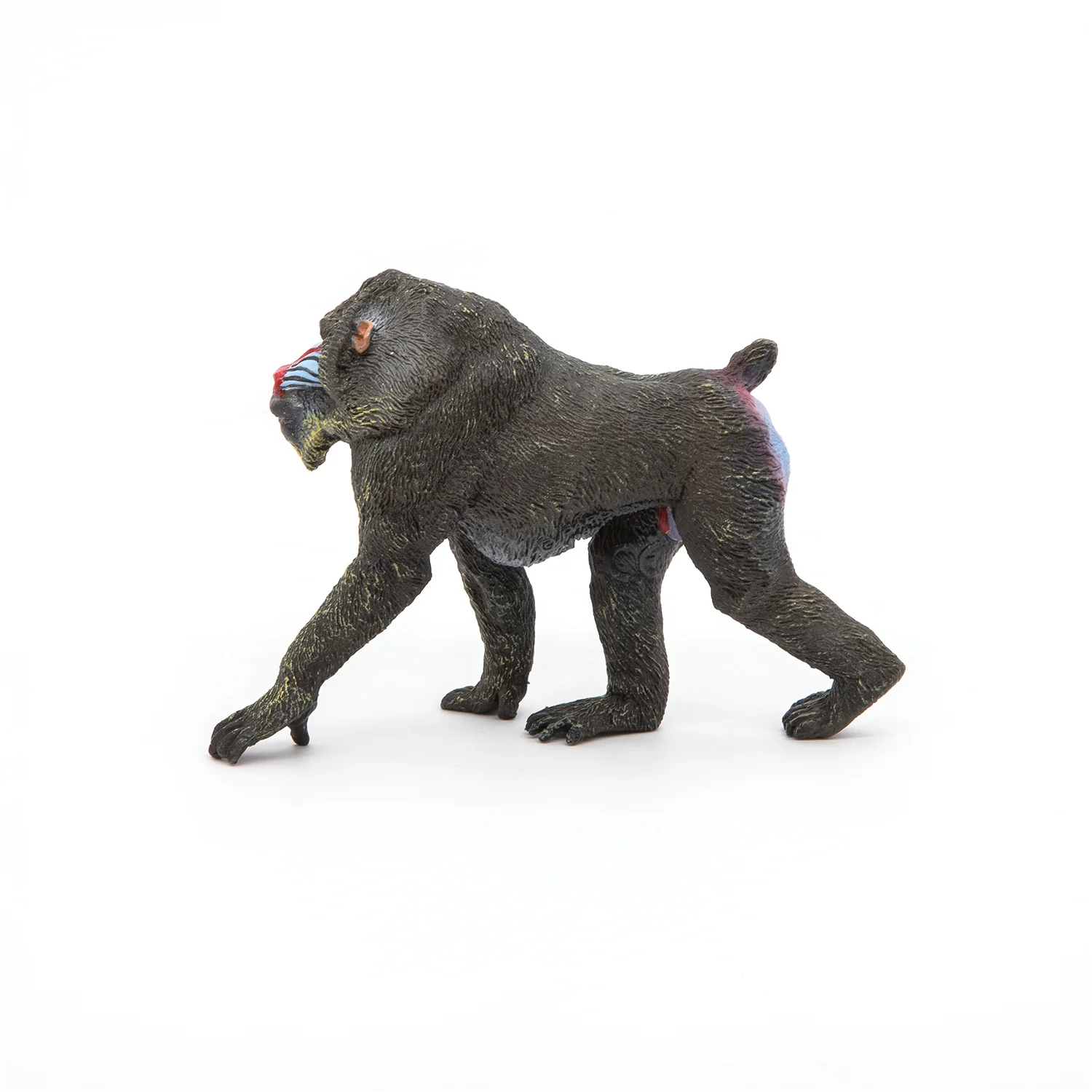 Miniature 5