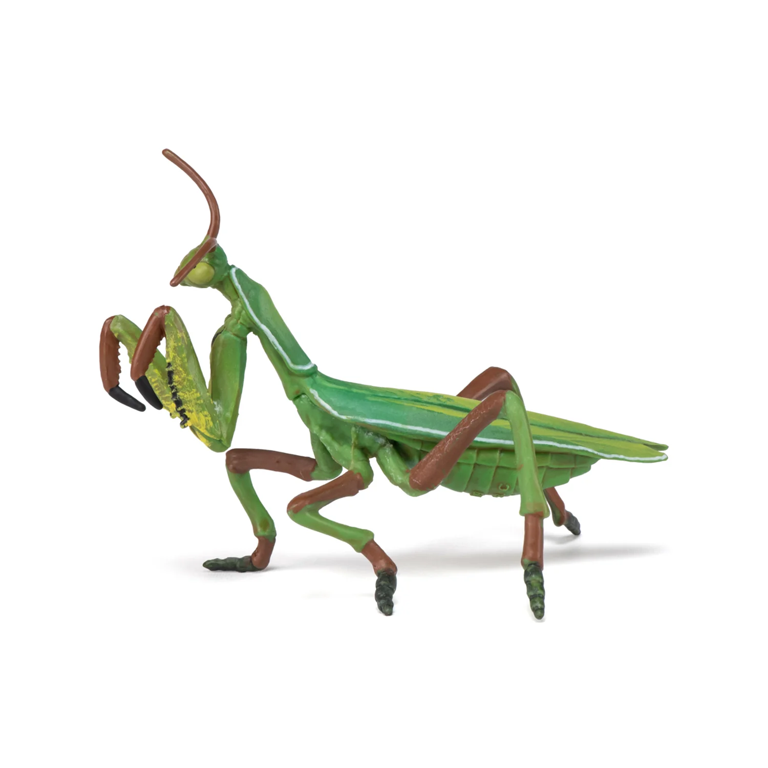 Miniature 4