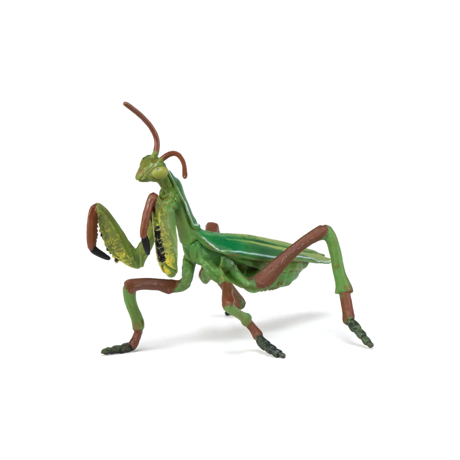 Miniature 5