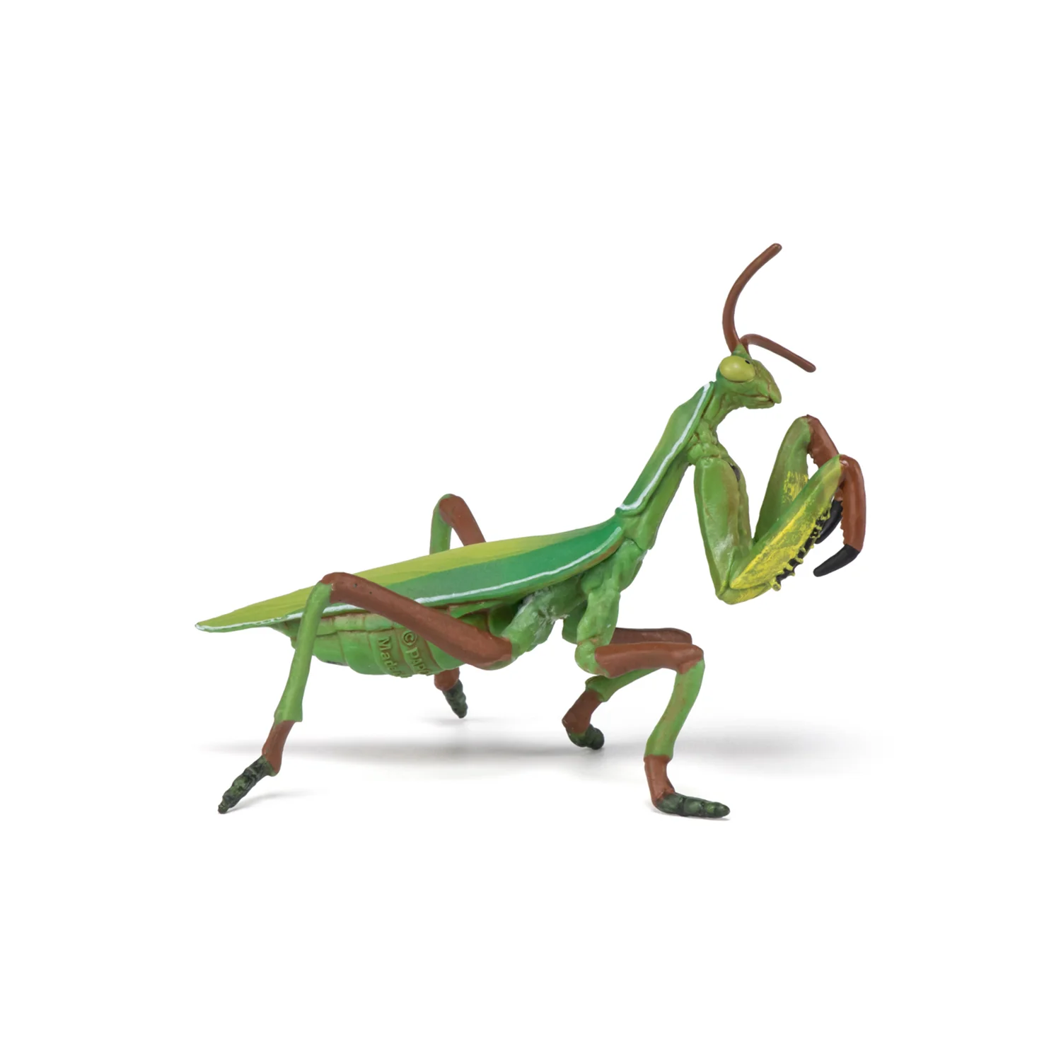 Miniature 8