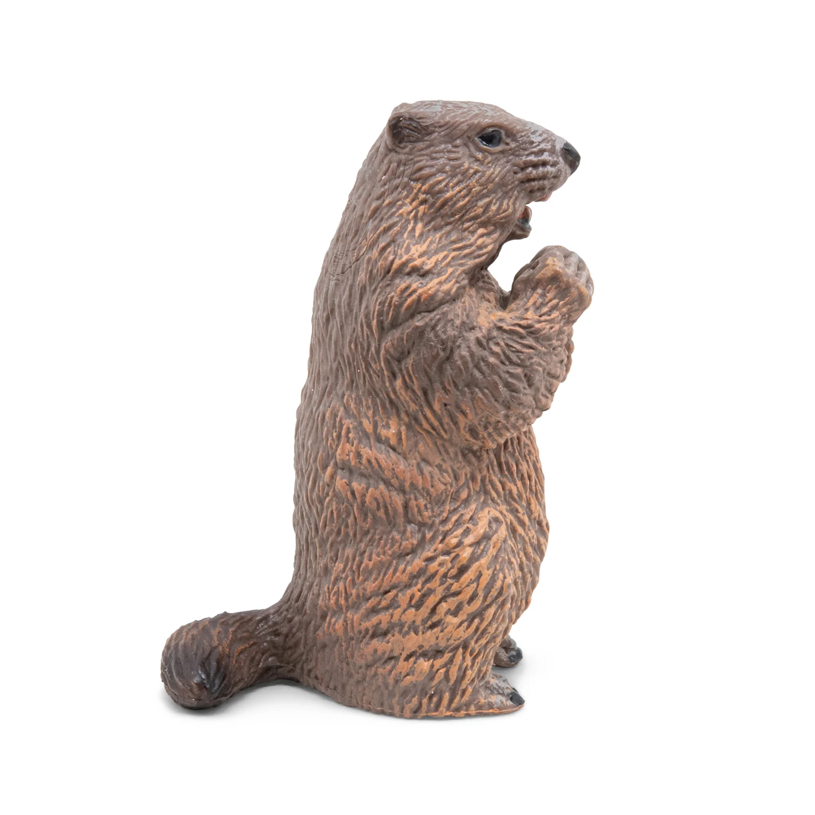 Miniature 4