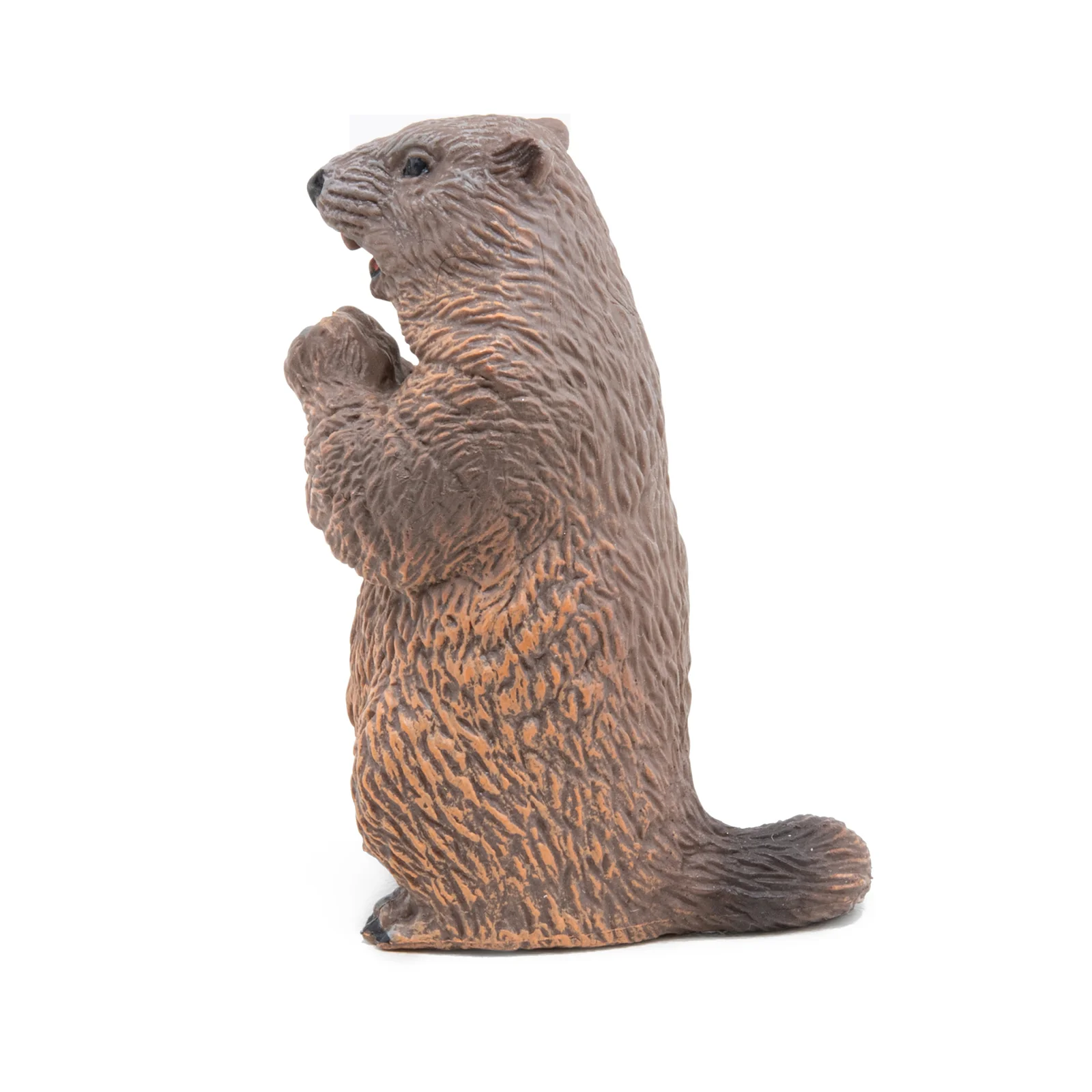 Miniature 5