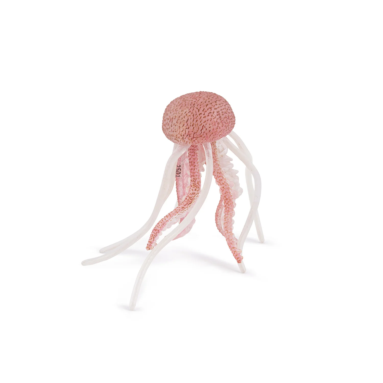 Miniature 5