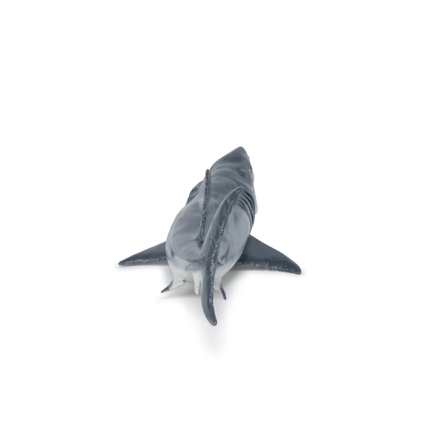 Miniature 8