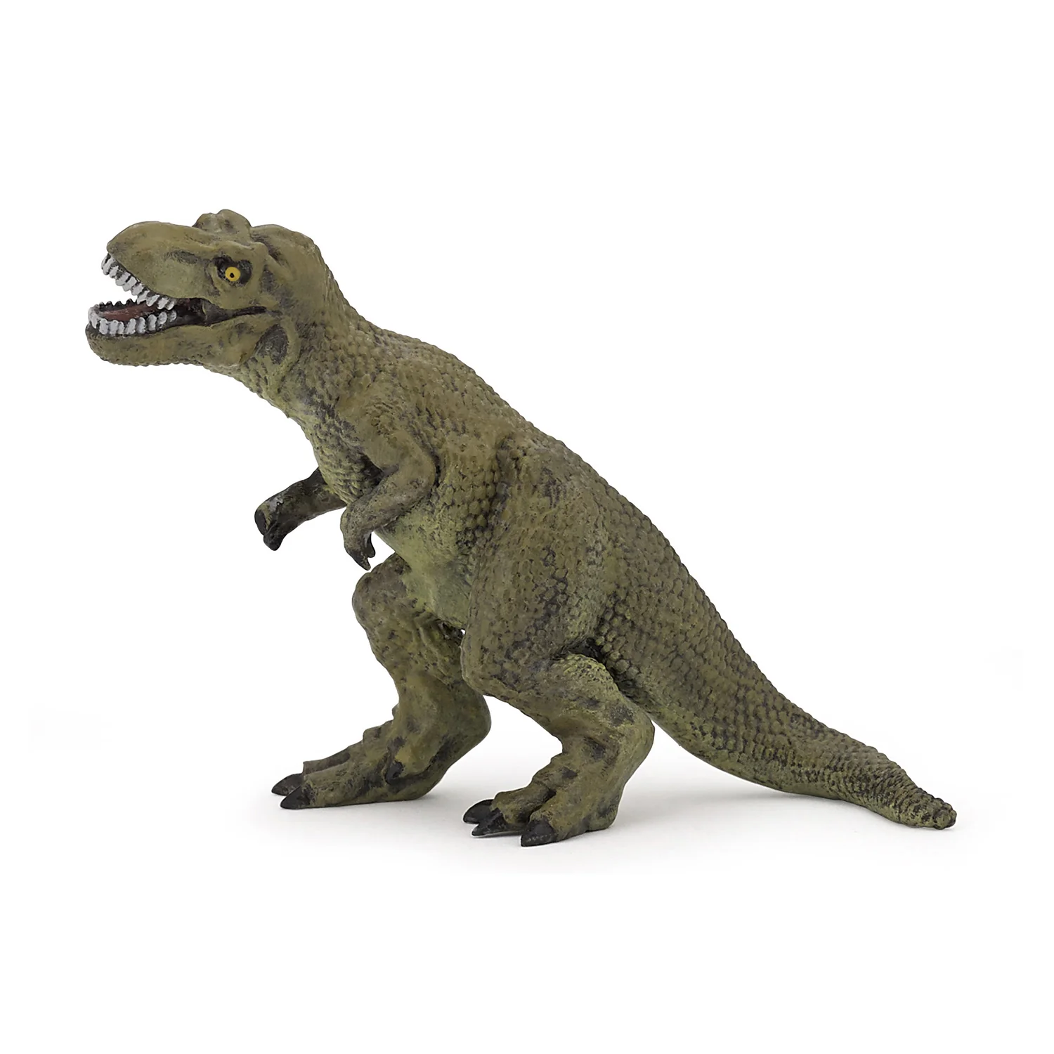 Miniature 5