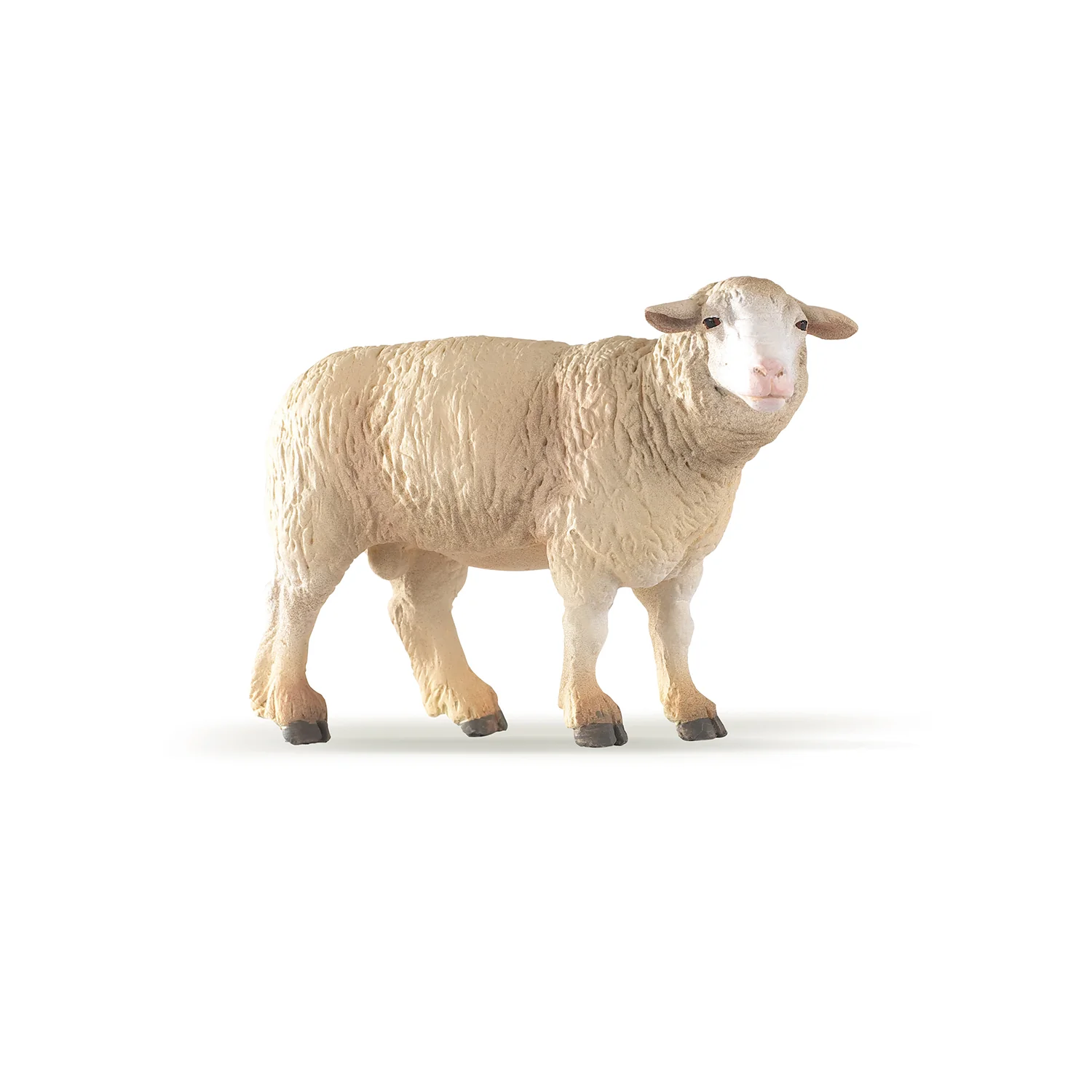 Miniature 4