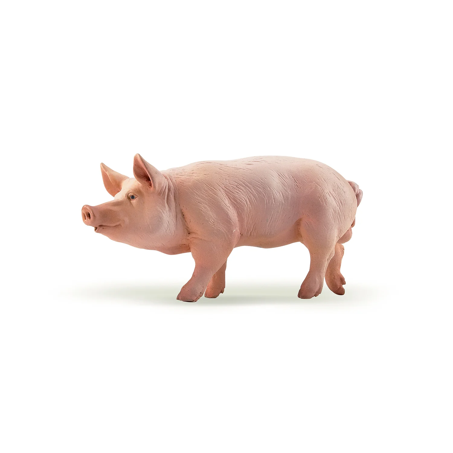 Miniature 6