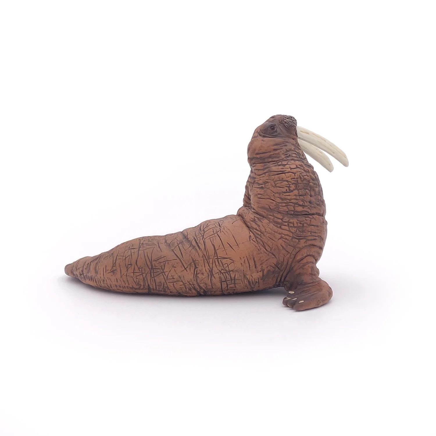 Miniature 5