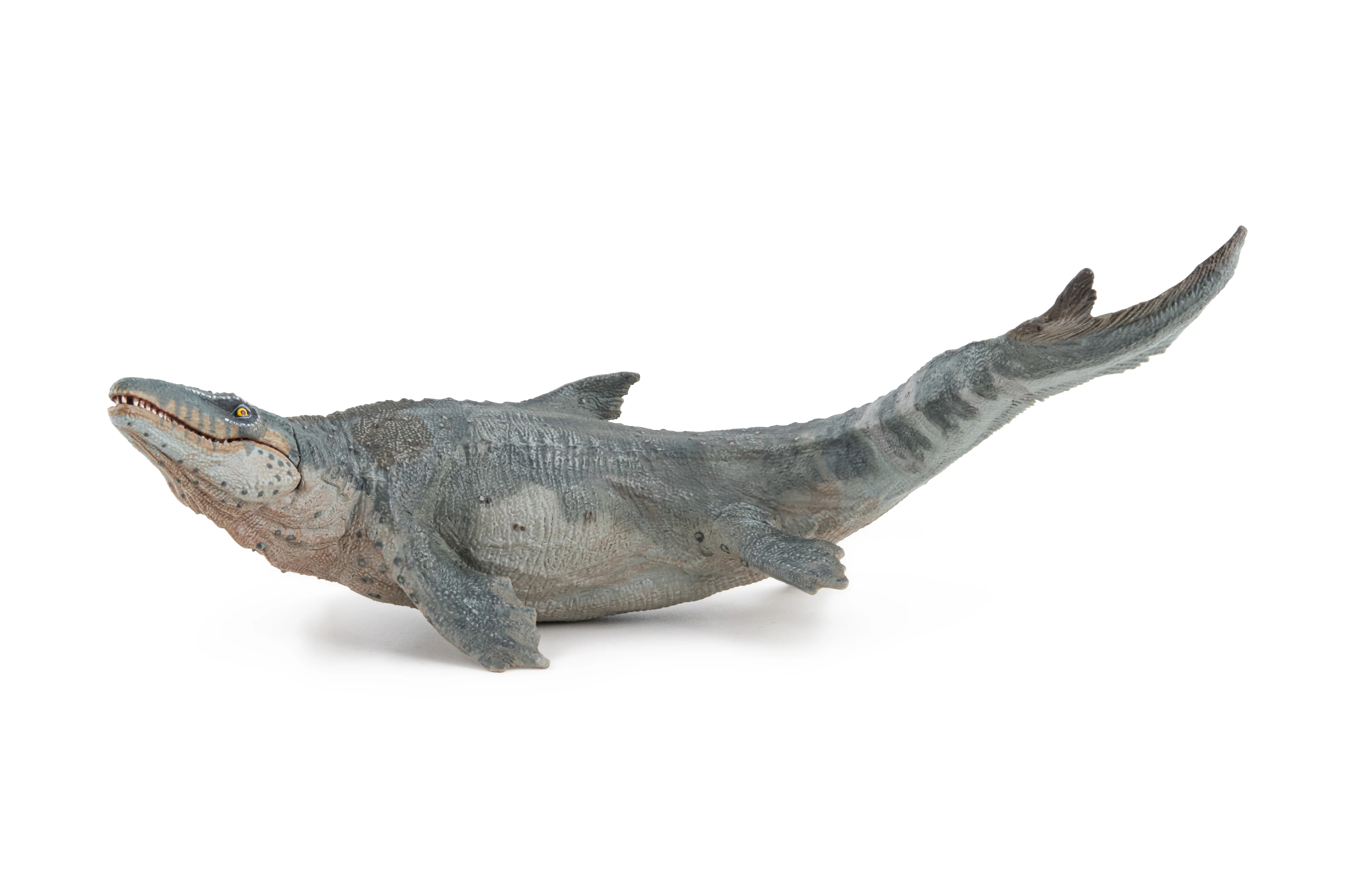 Miniature 4