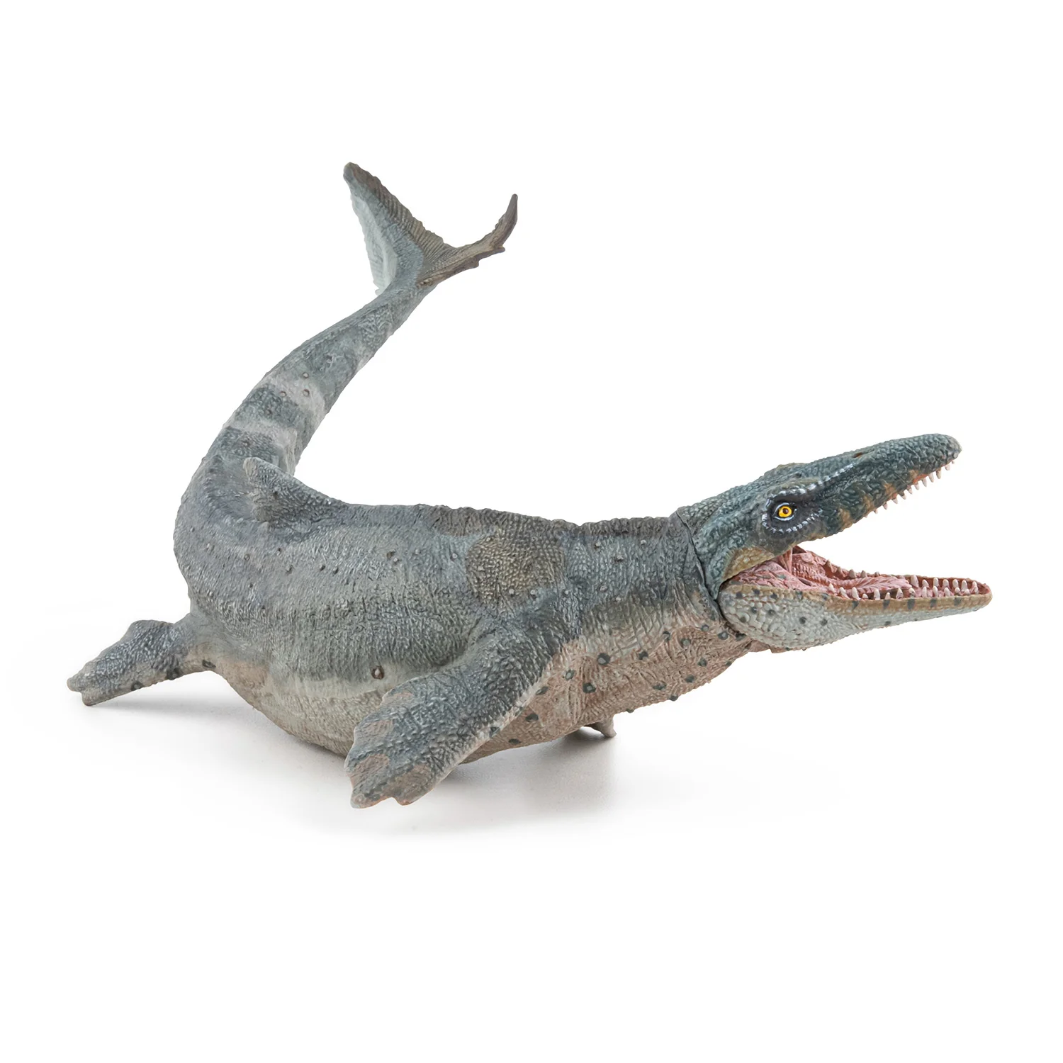 Miniature 5