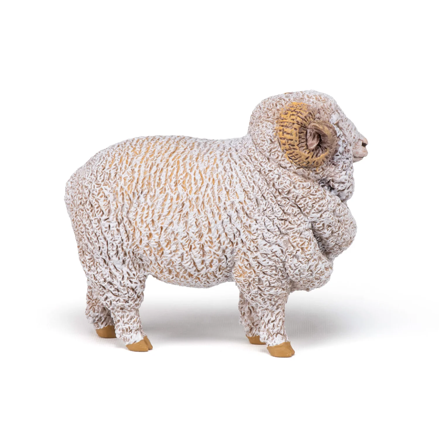 Miniature 5