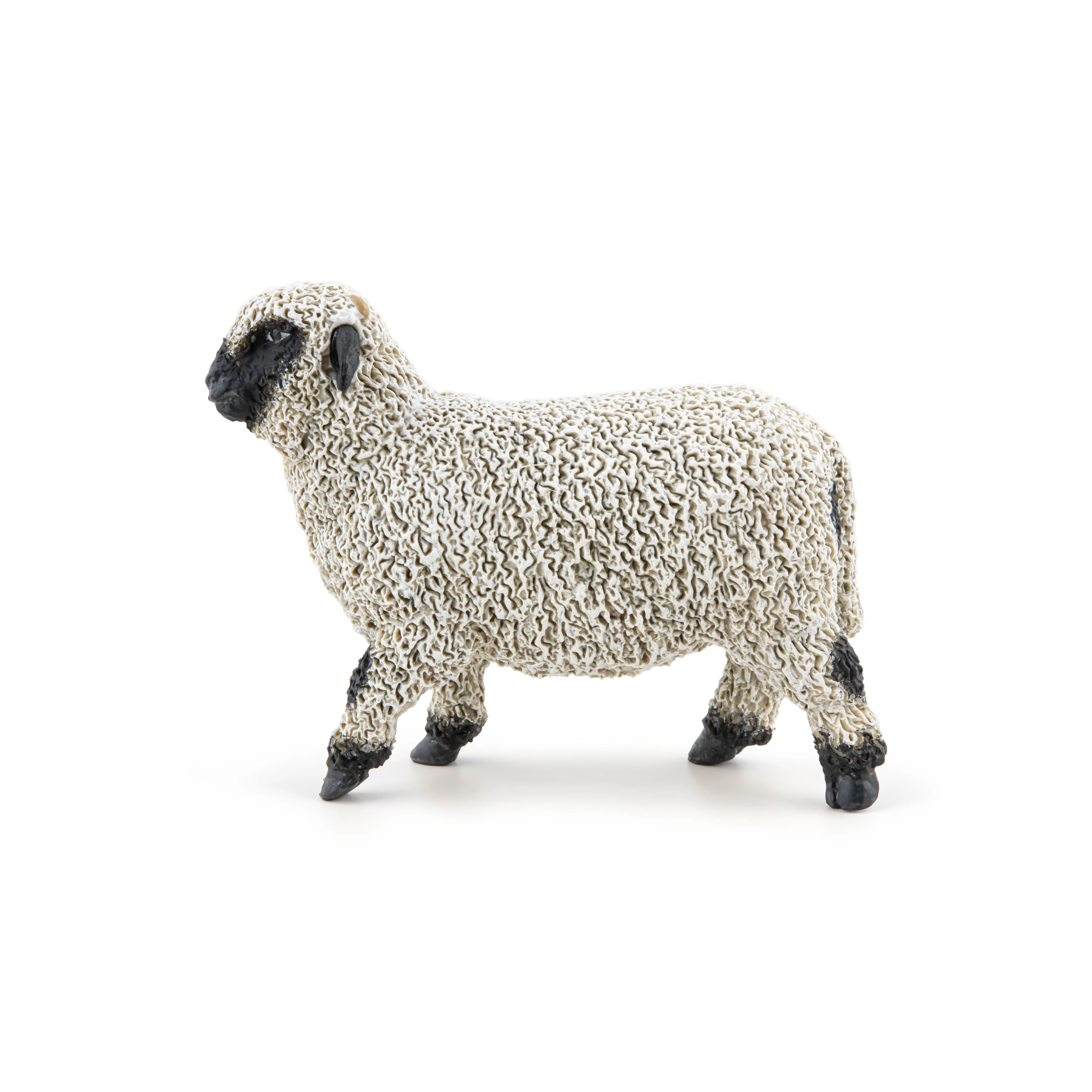 Miniature 5