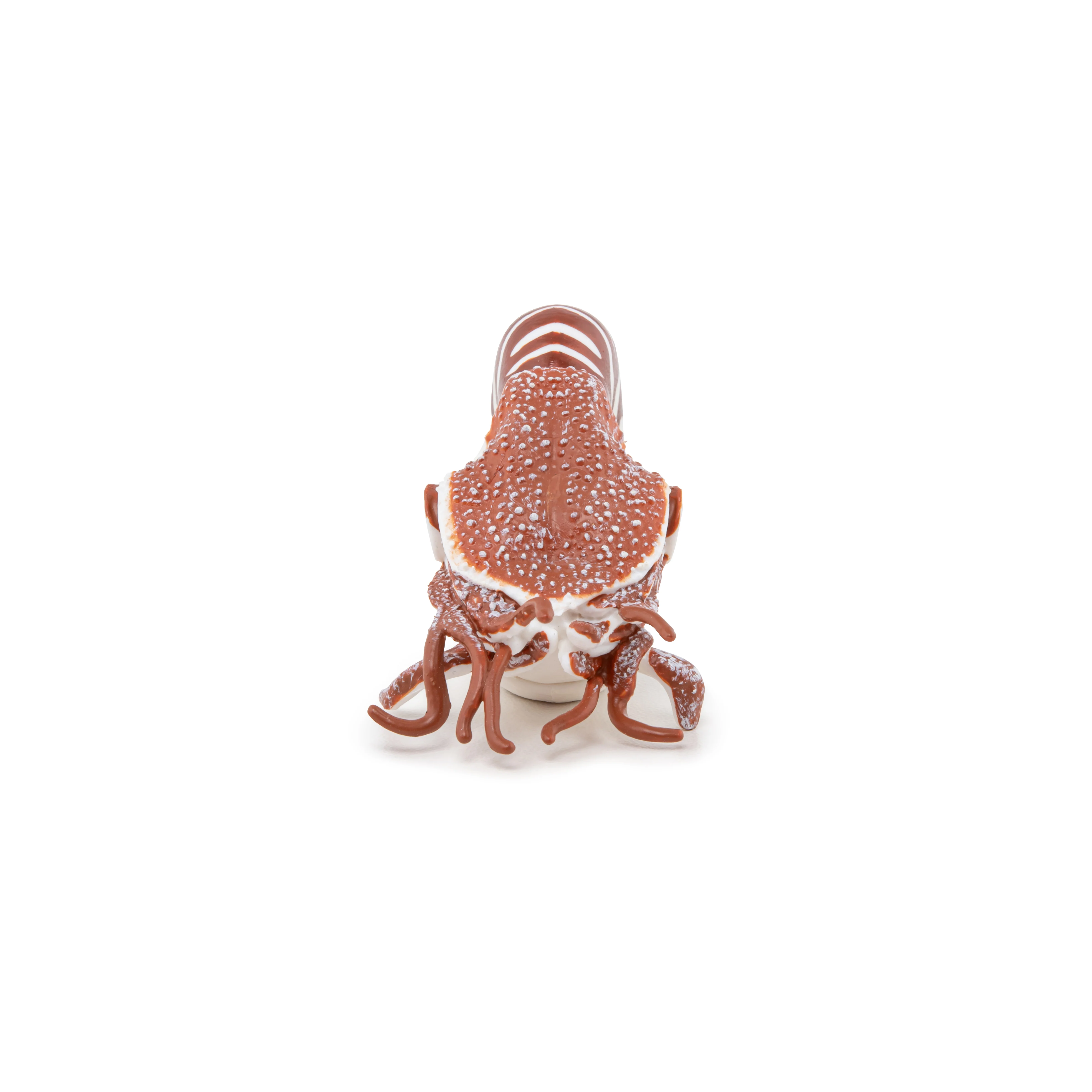 Miniature 3