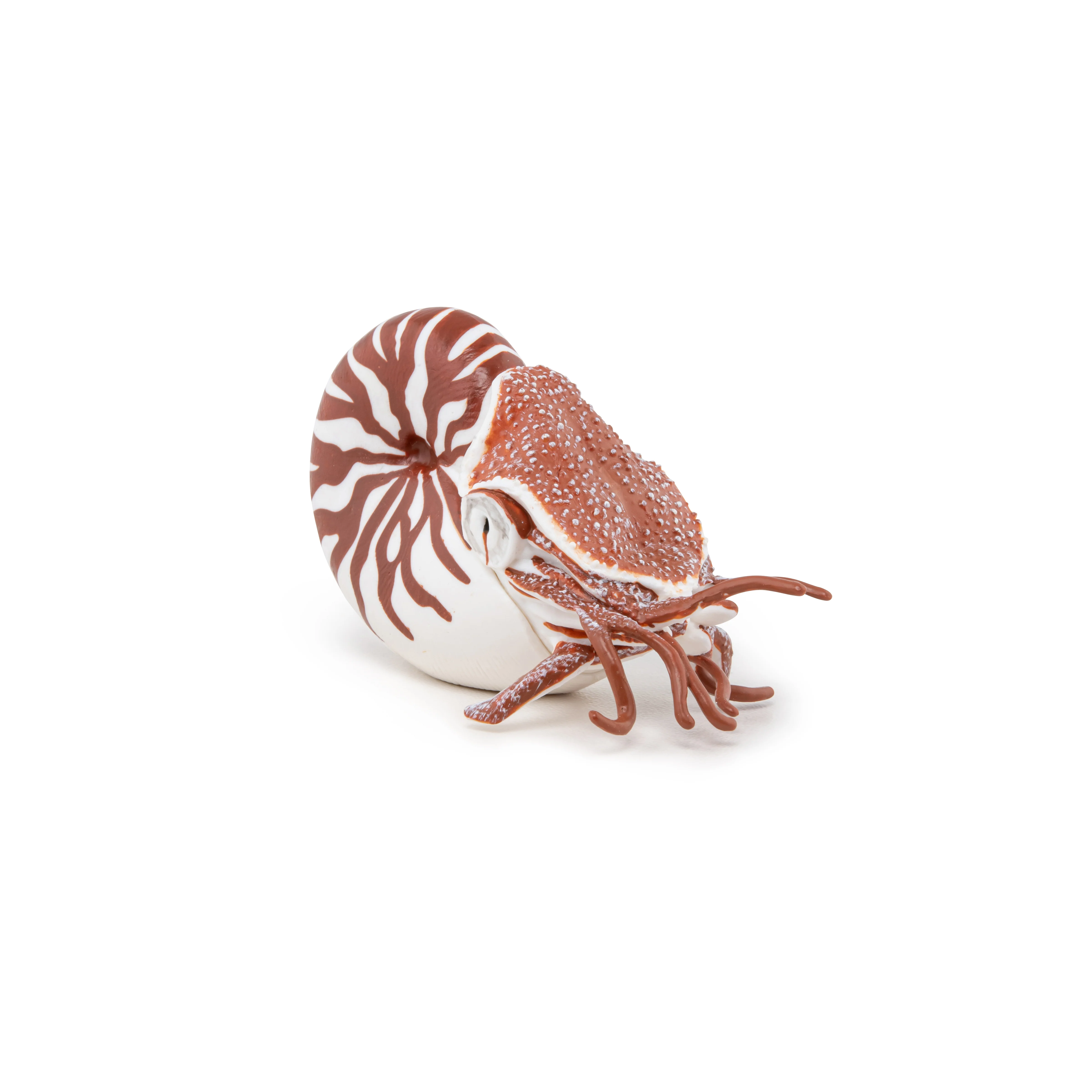 Miniature 5
