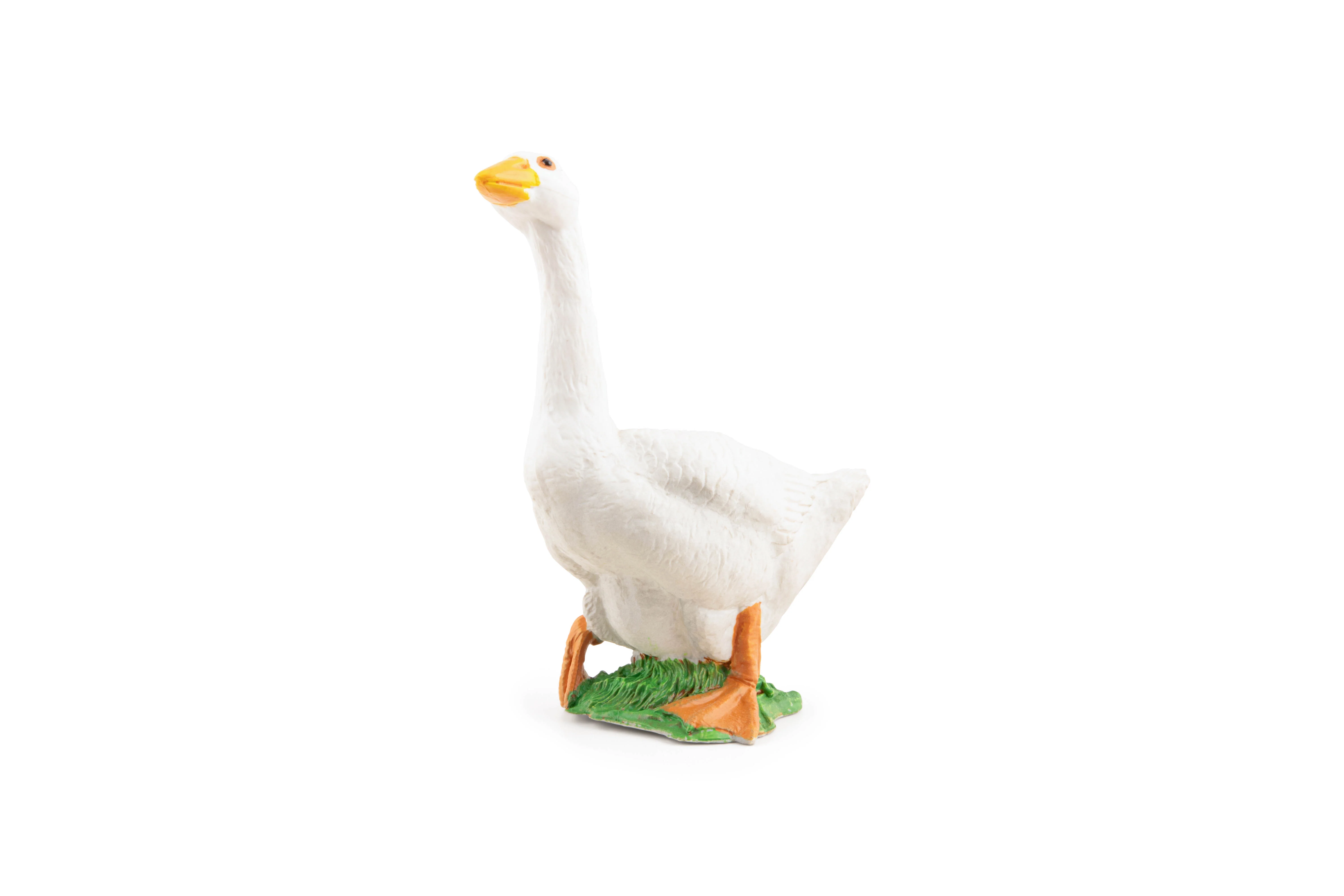 Miniature 5
