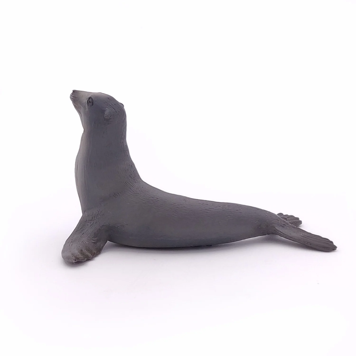 Miniature 5