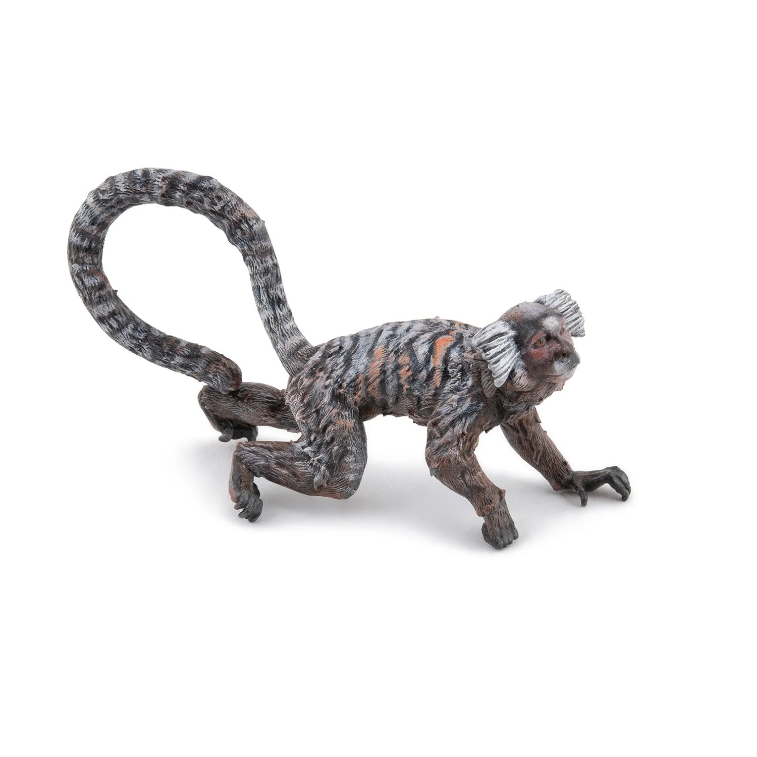 Miniature 1