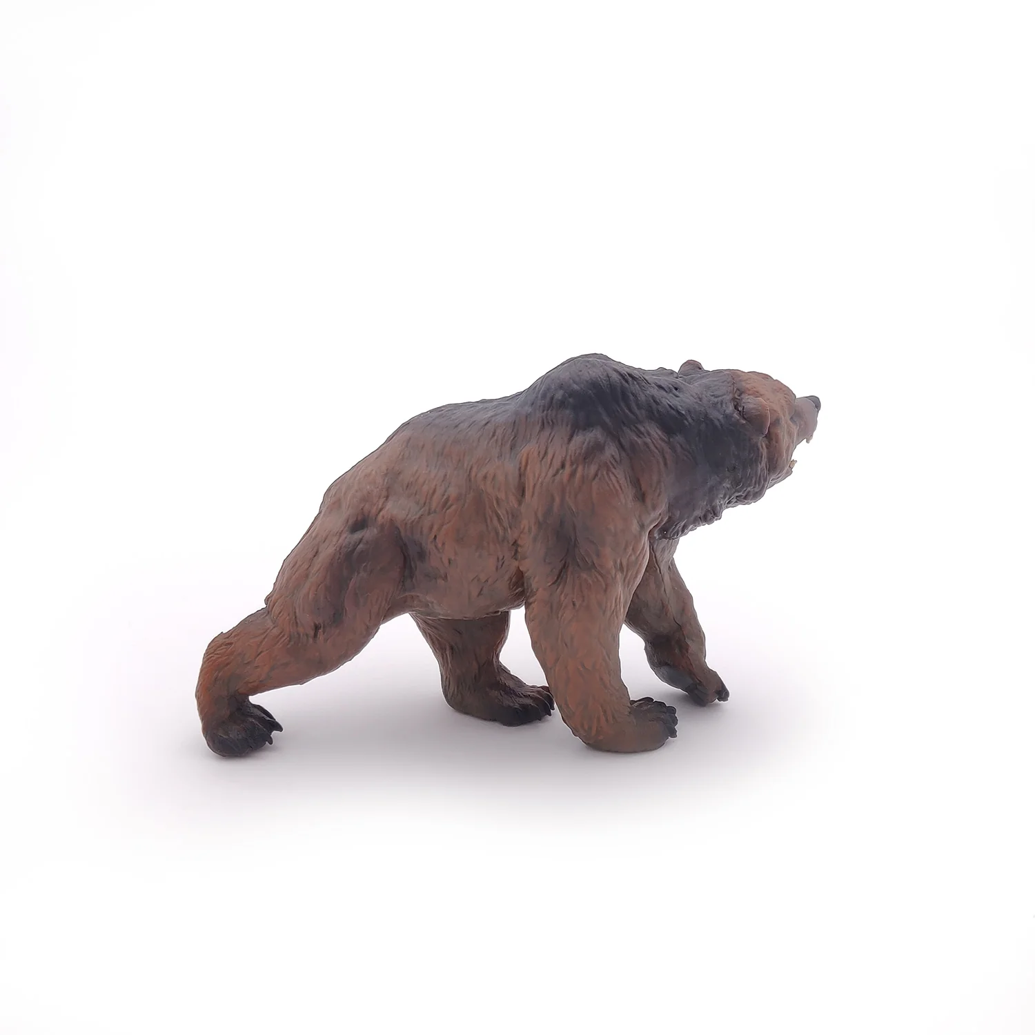Miniature 5