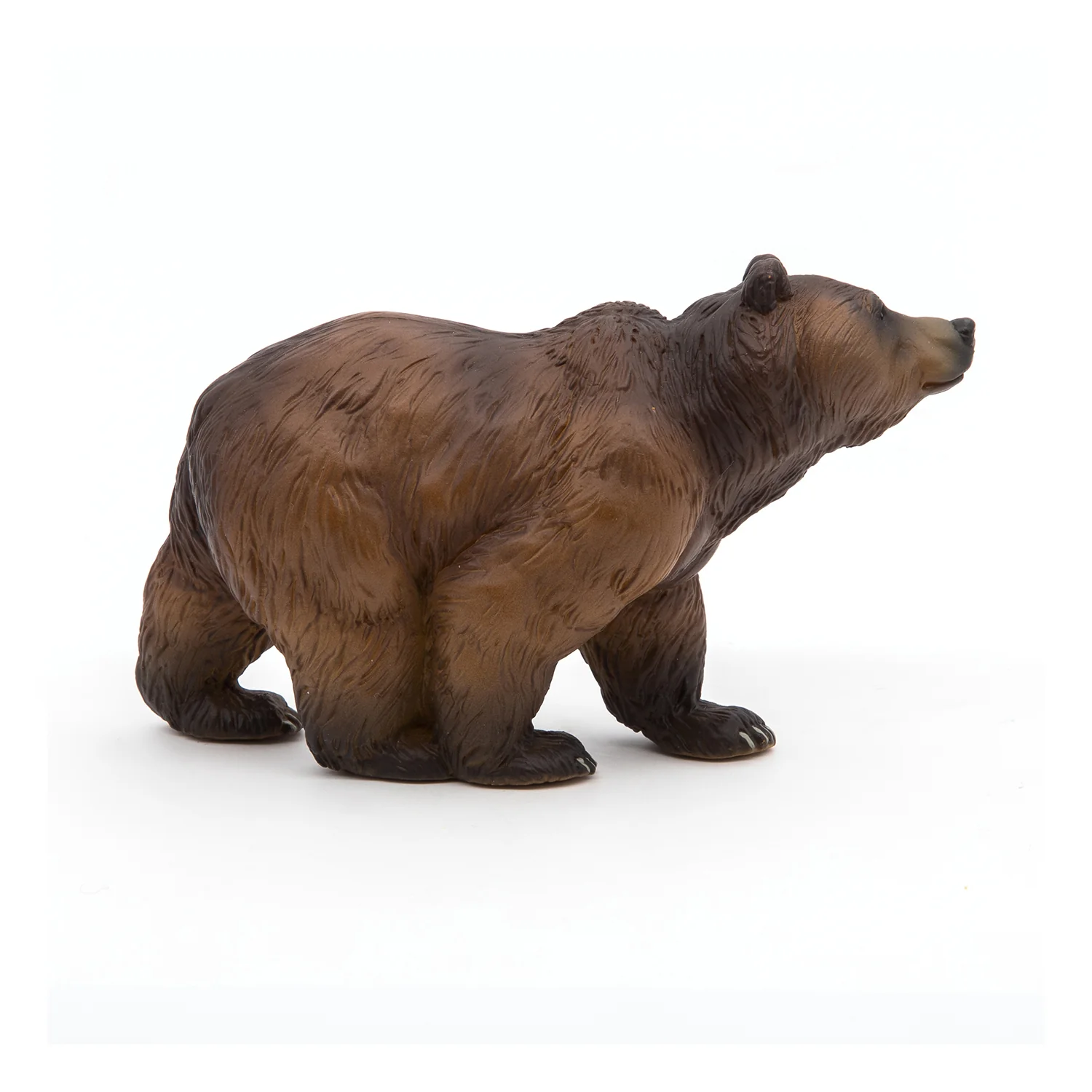 Miniature 5