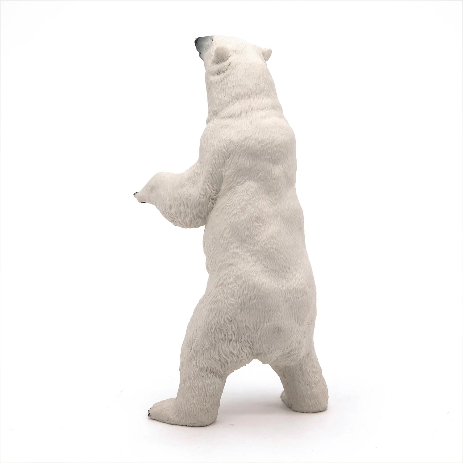 Miniature 5