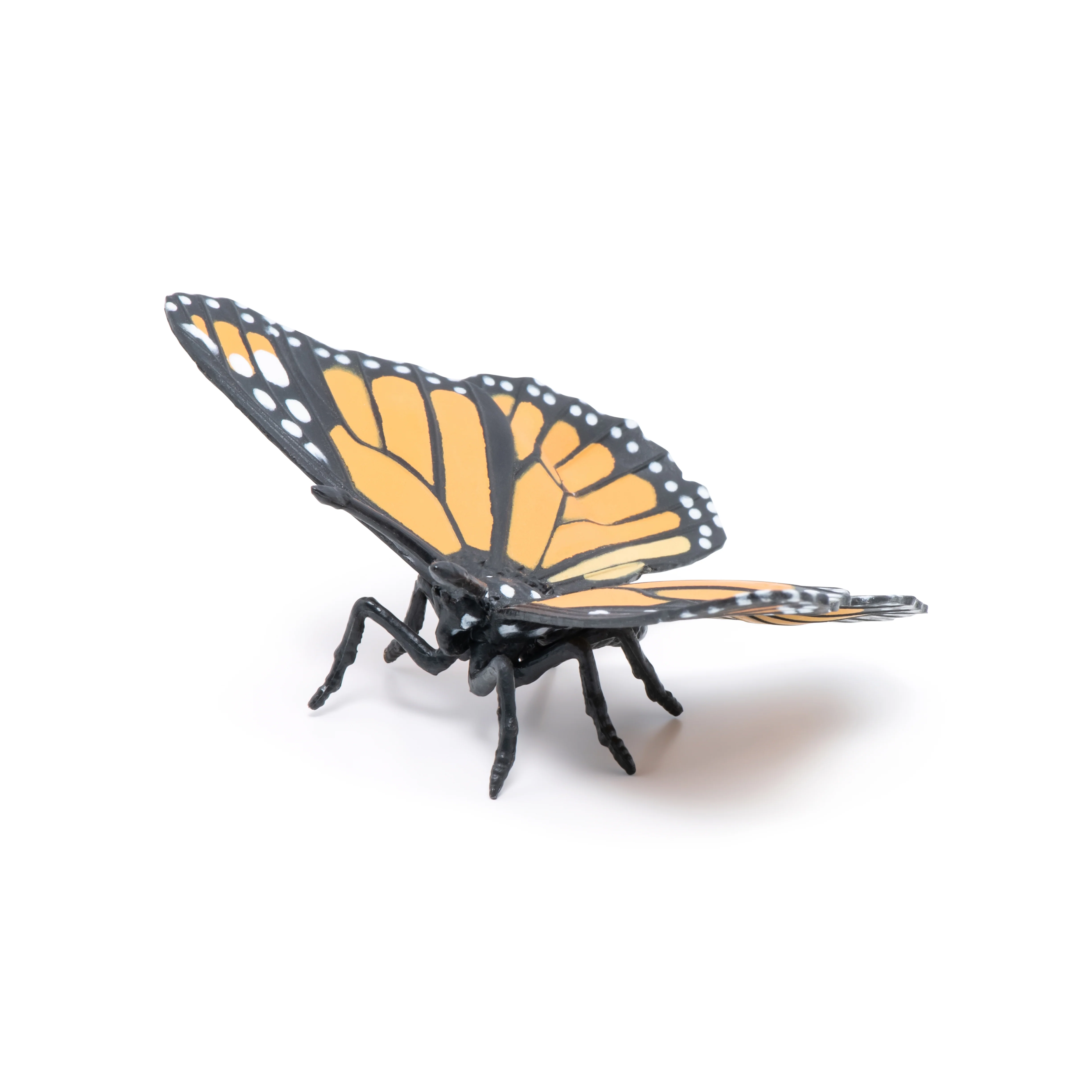 Miniature 7