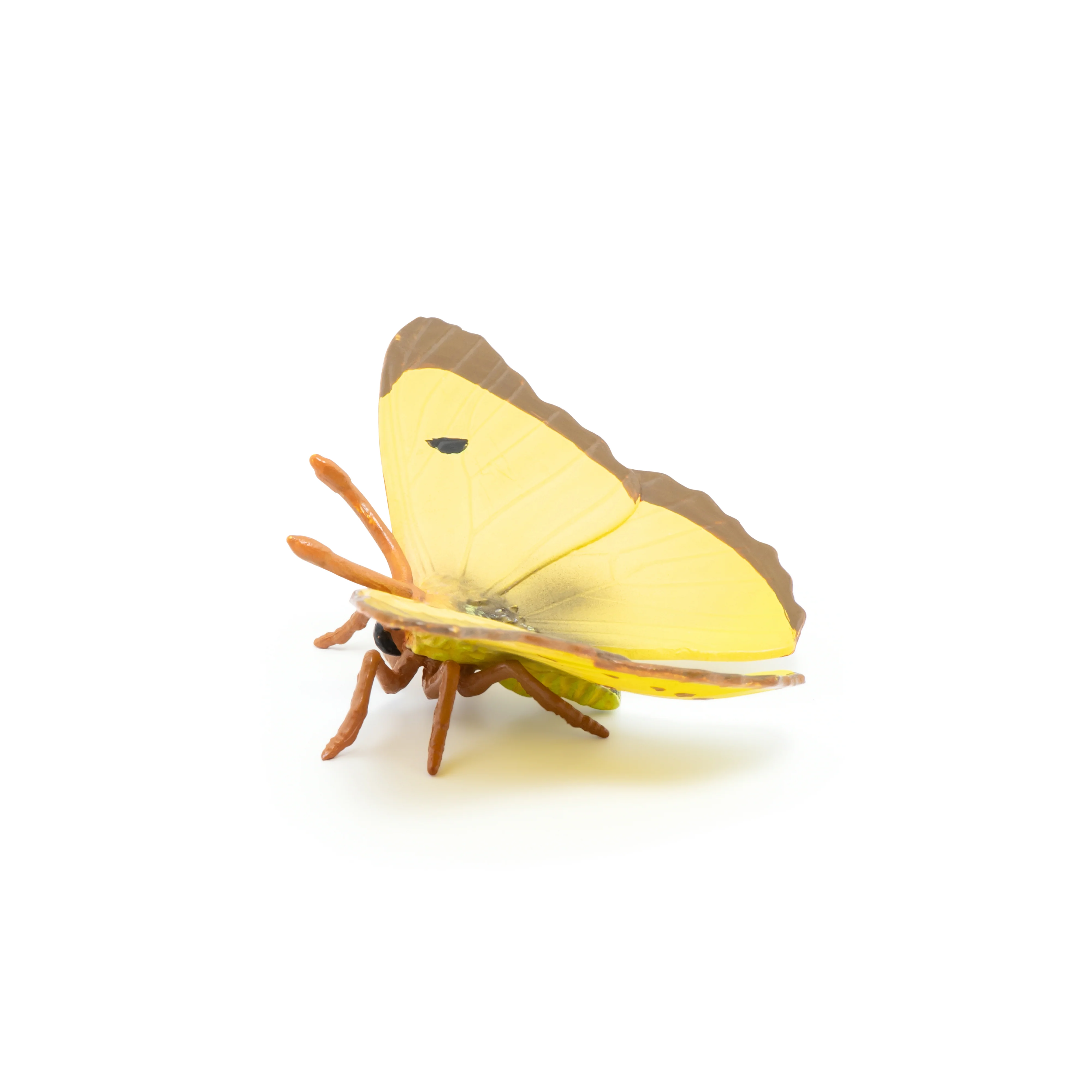 Miniature 2