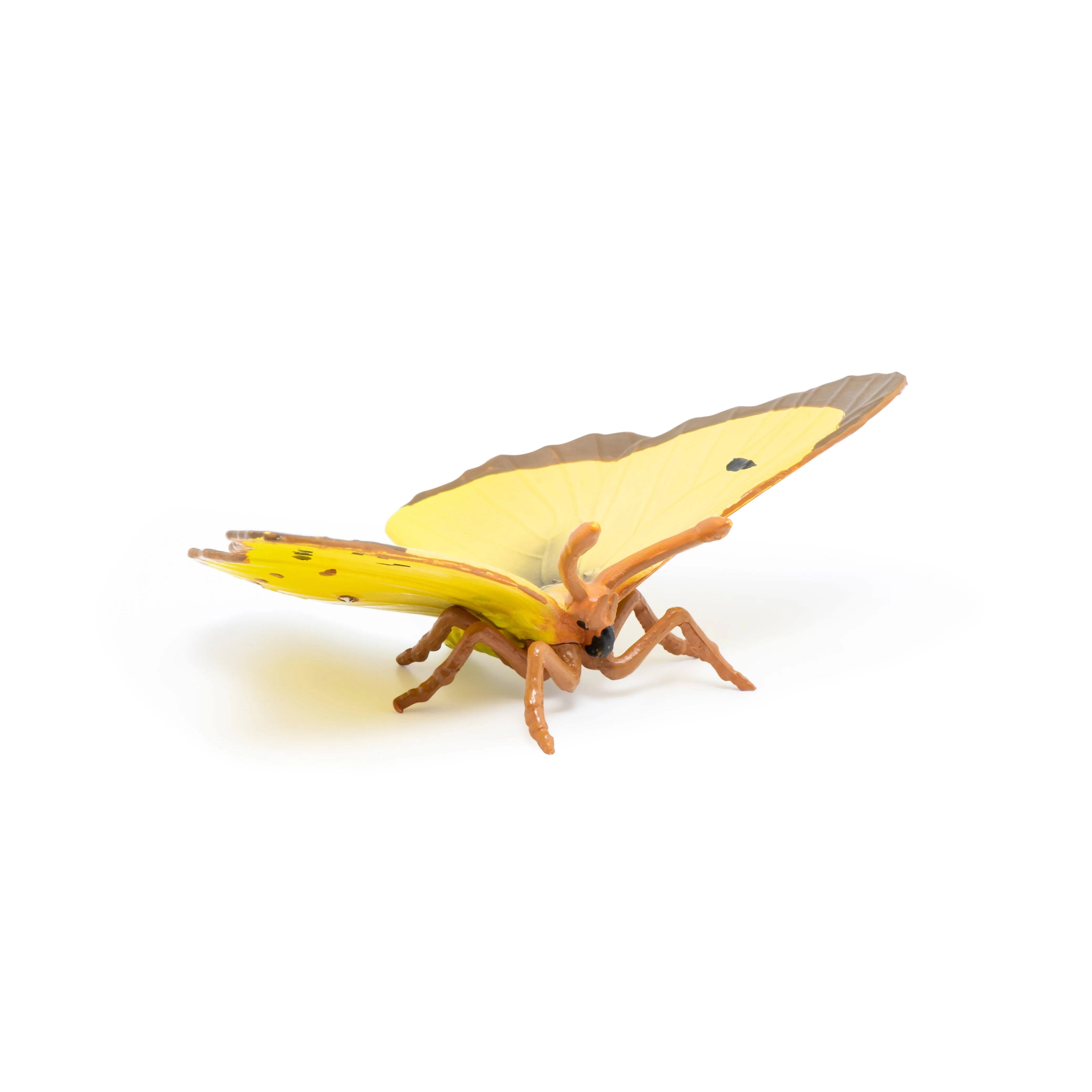 Miniature 3