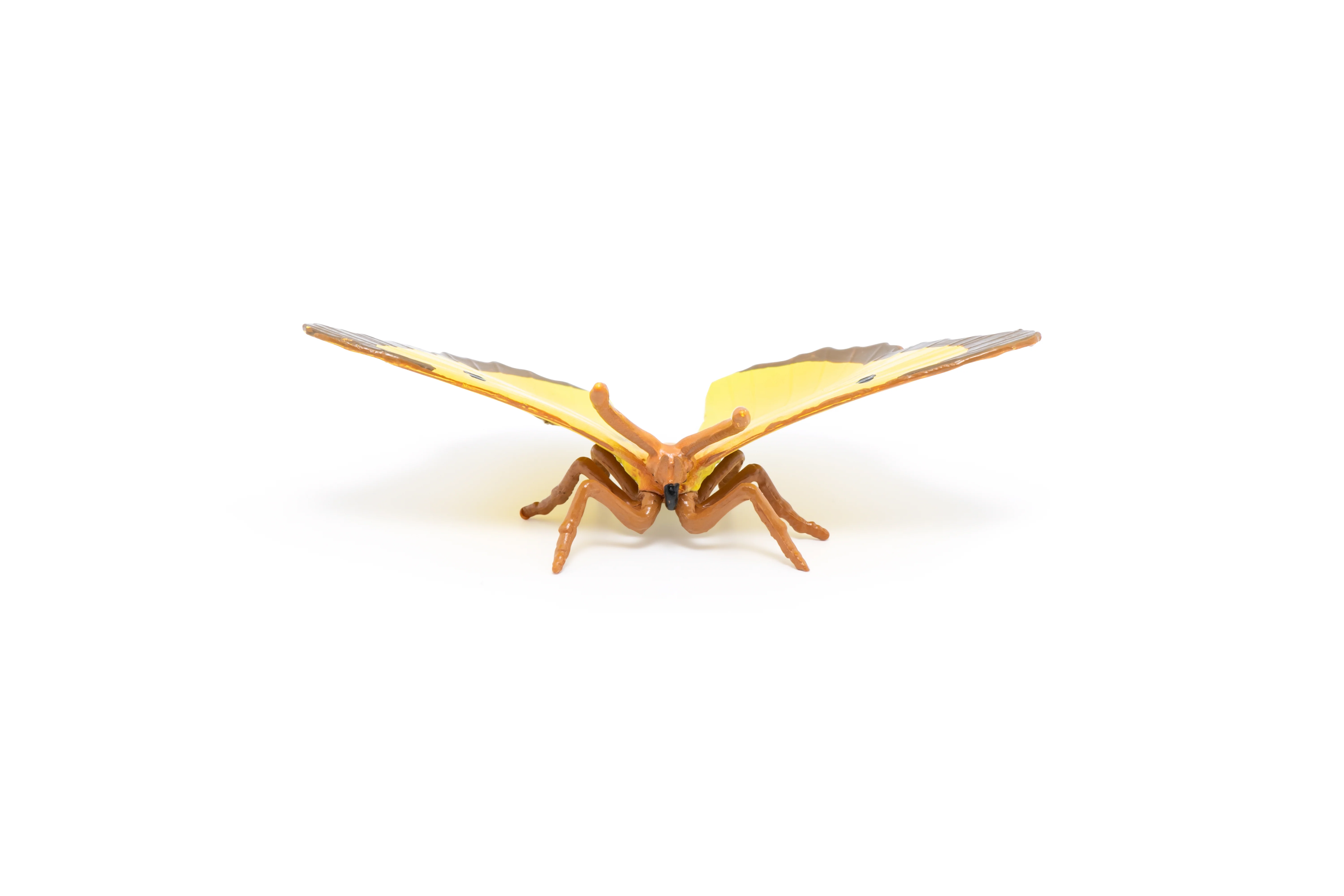 Miniature 4