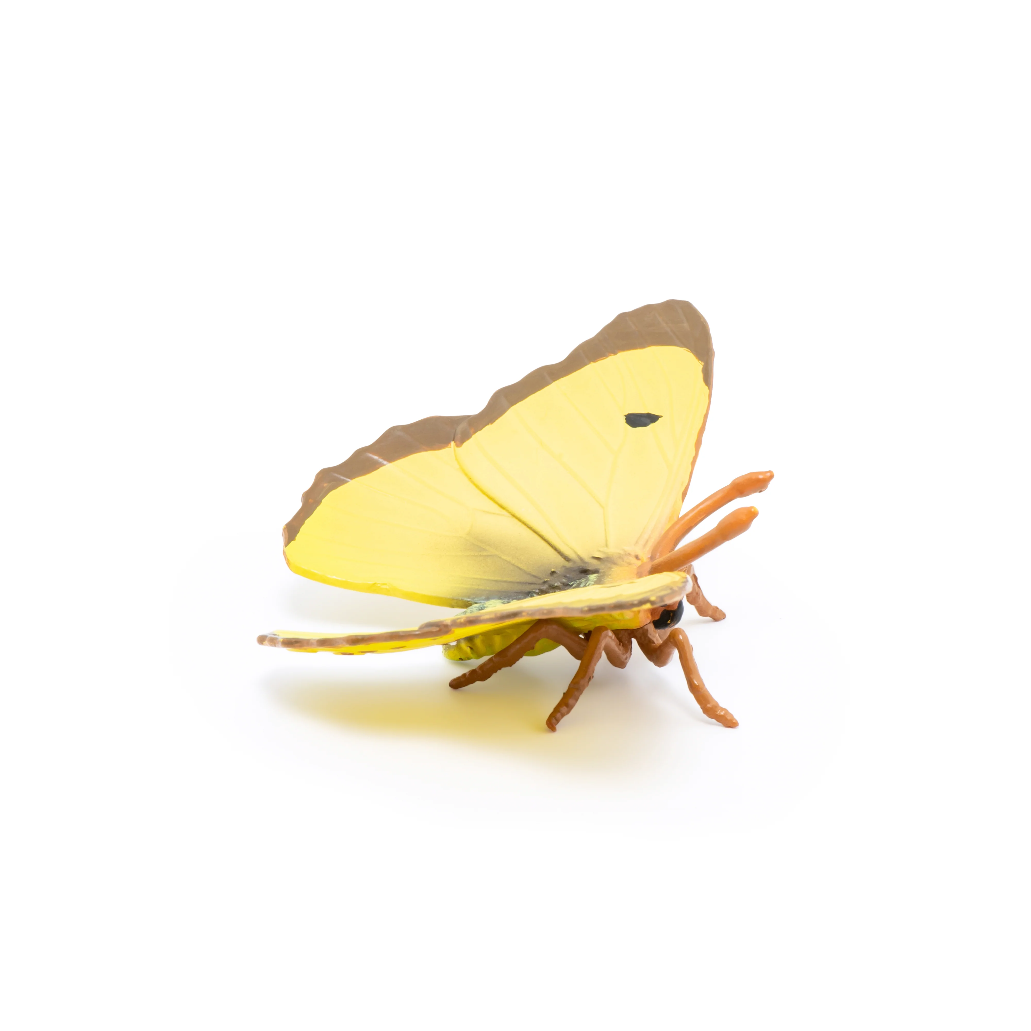 Miniature 5