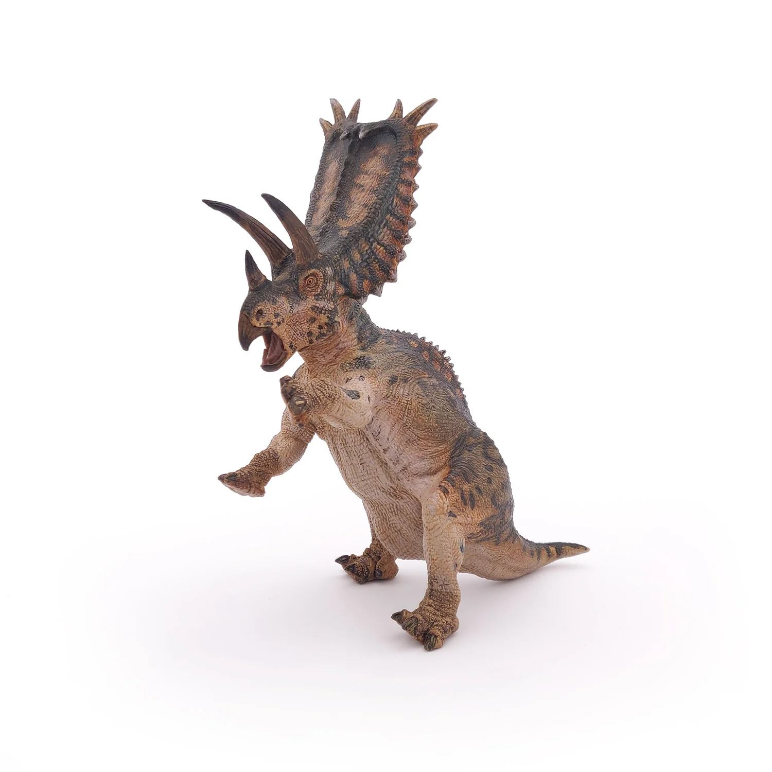 Miniature 5