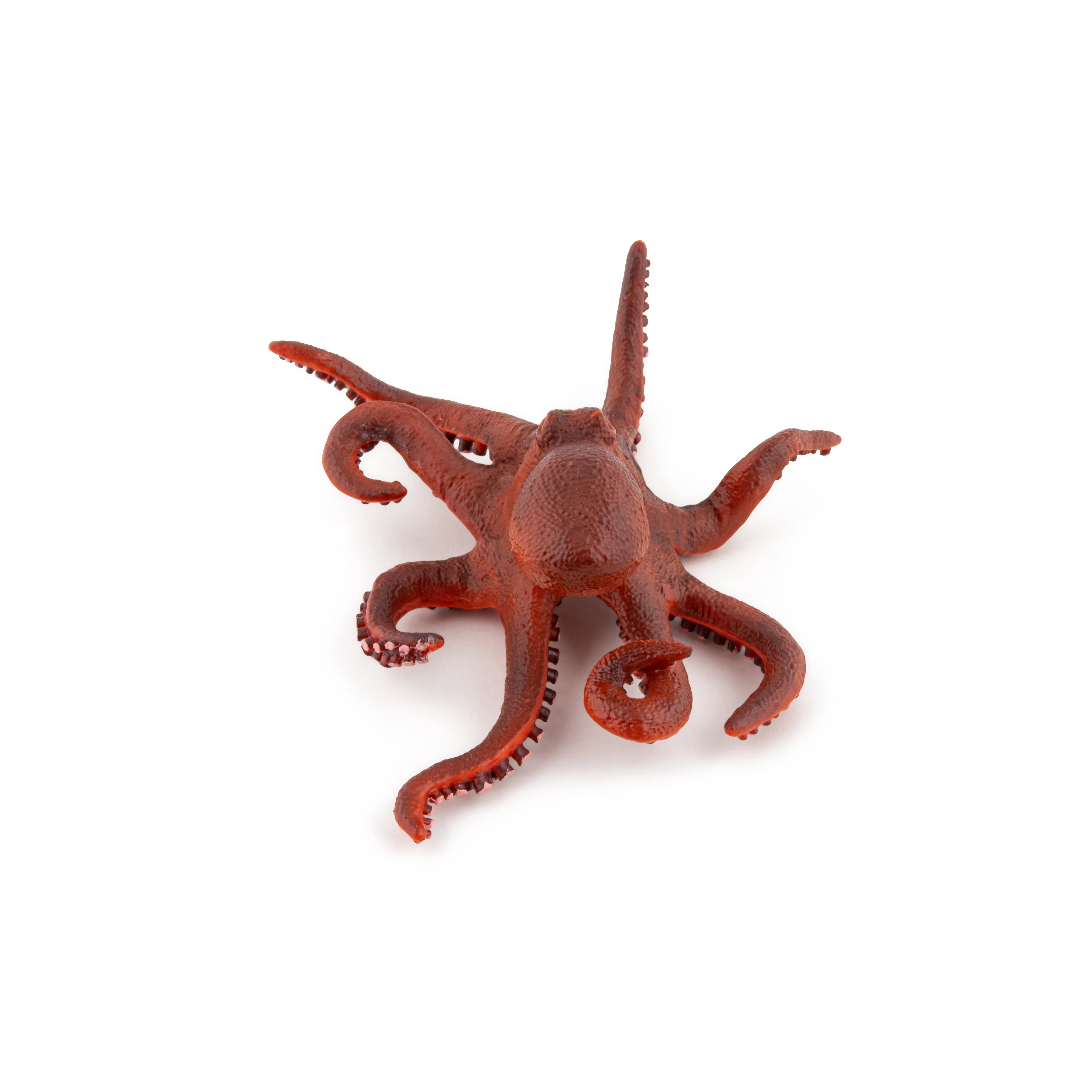 Miniature 4
