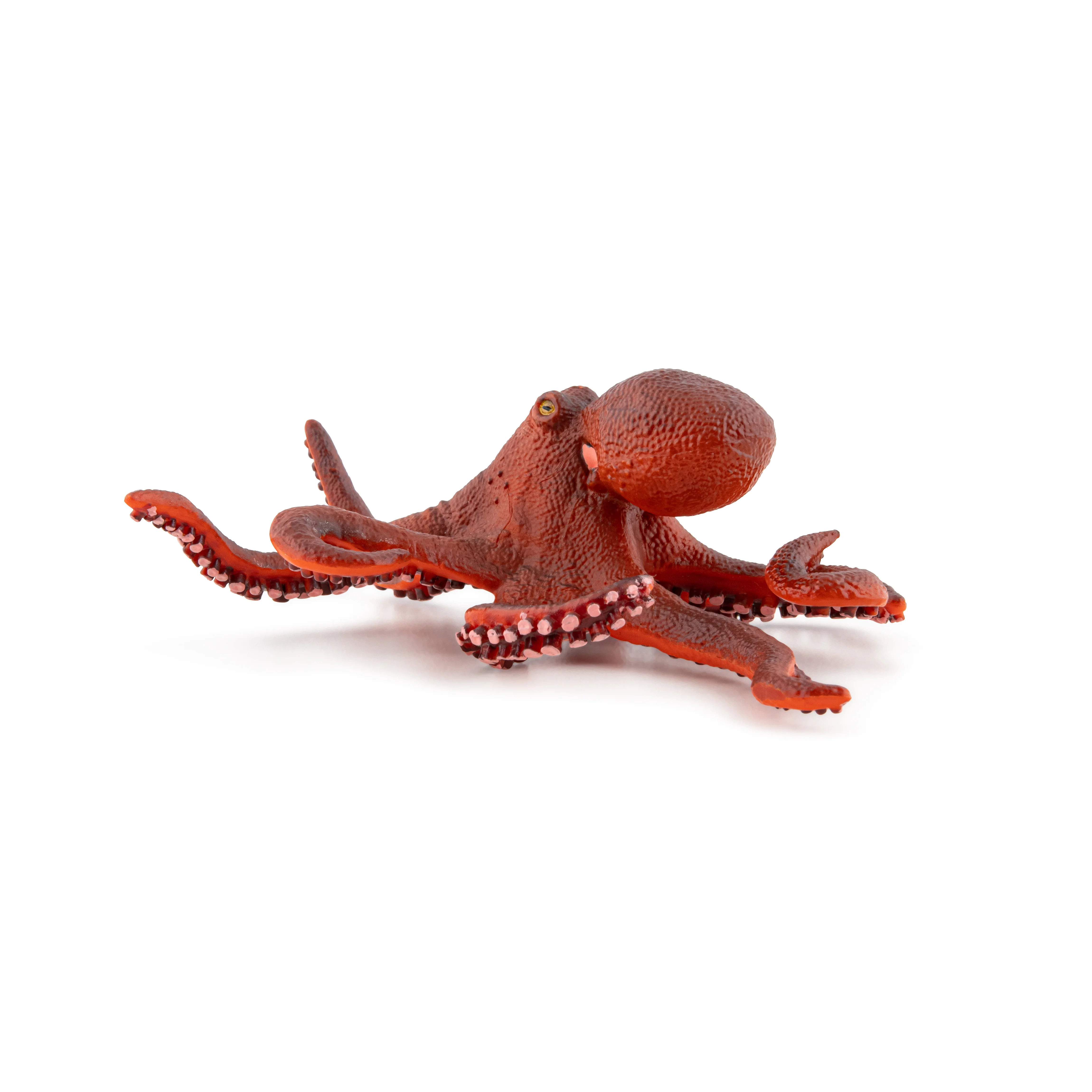 Miniature 5