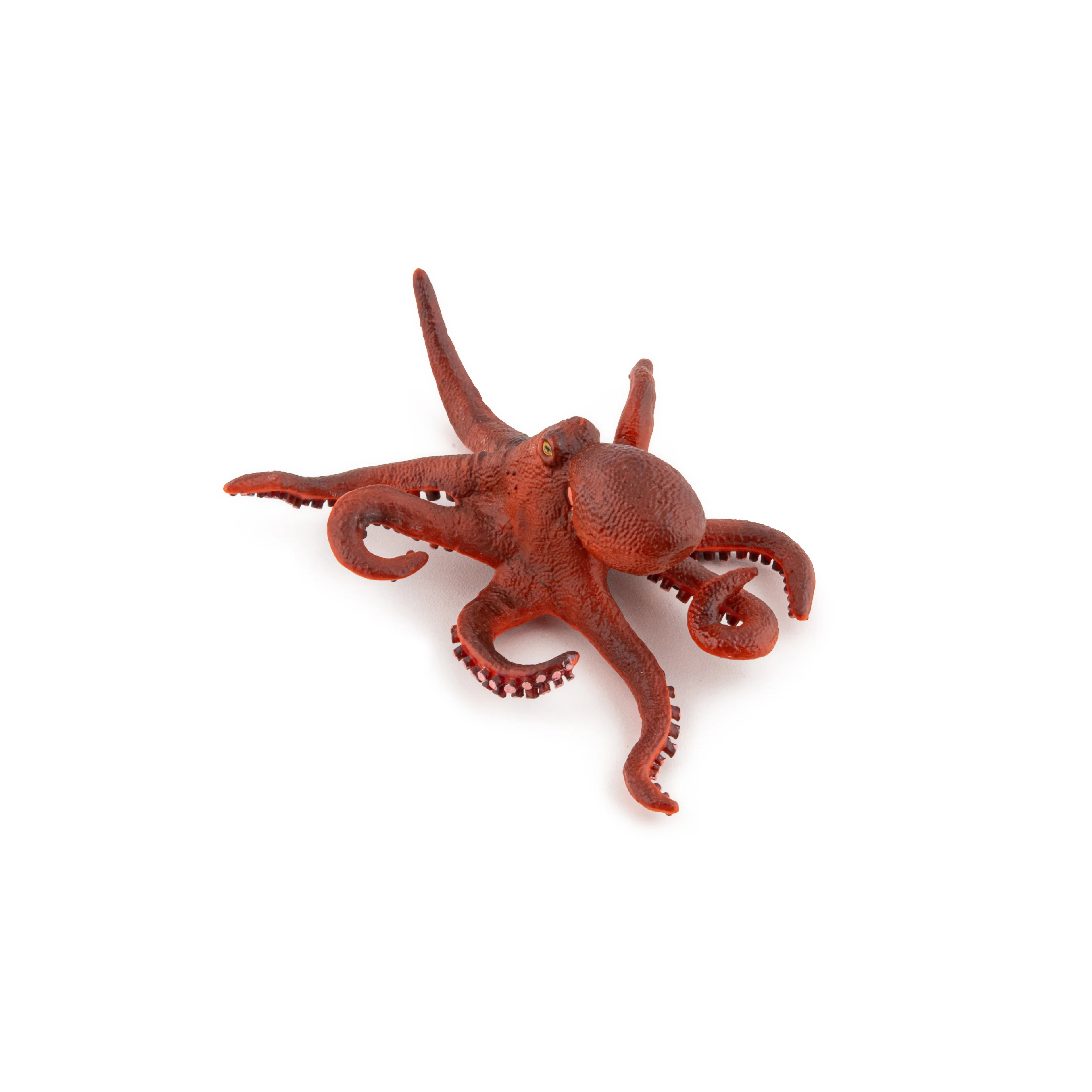 Miniature 6
