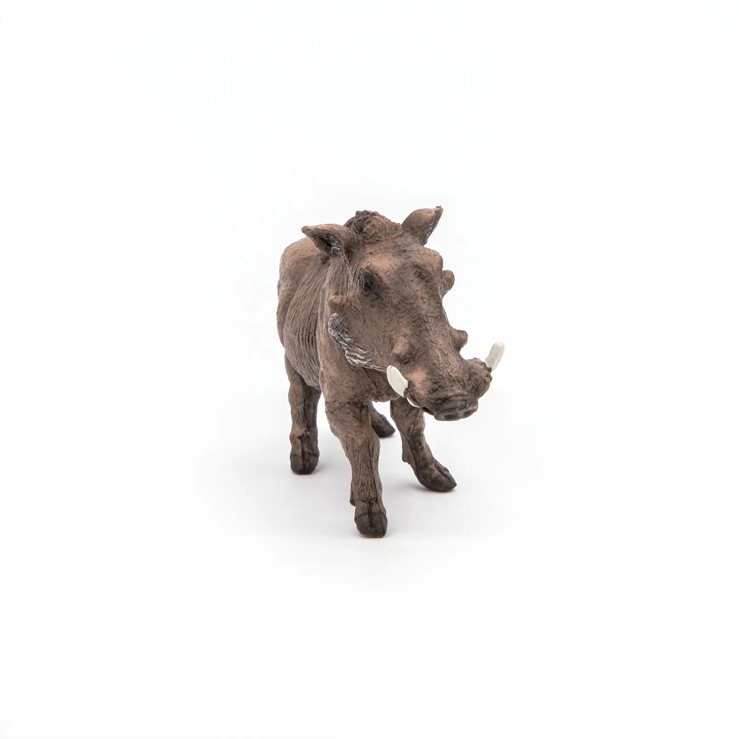 Miniature 5