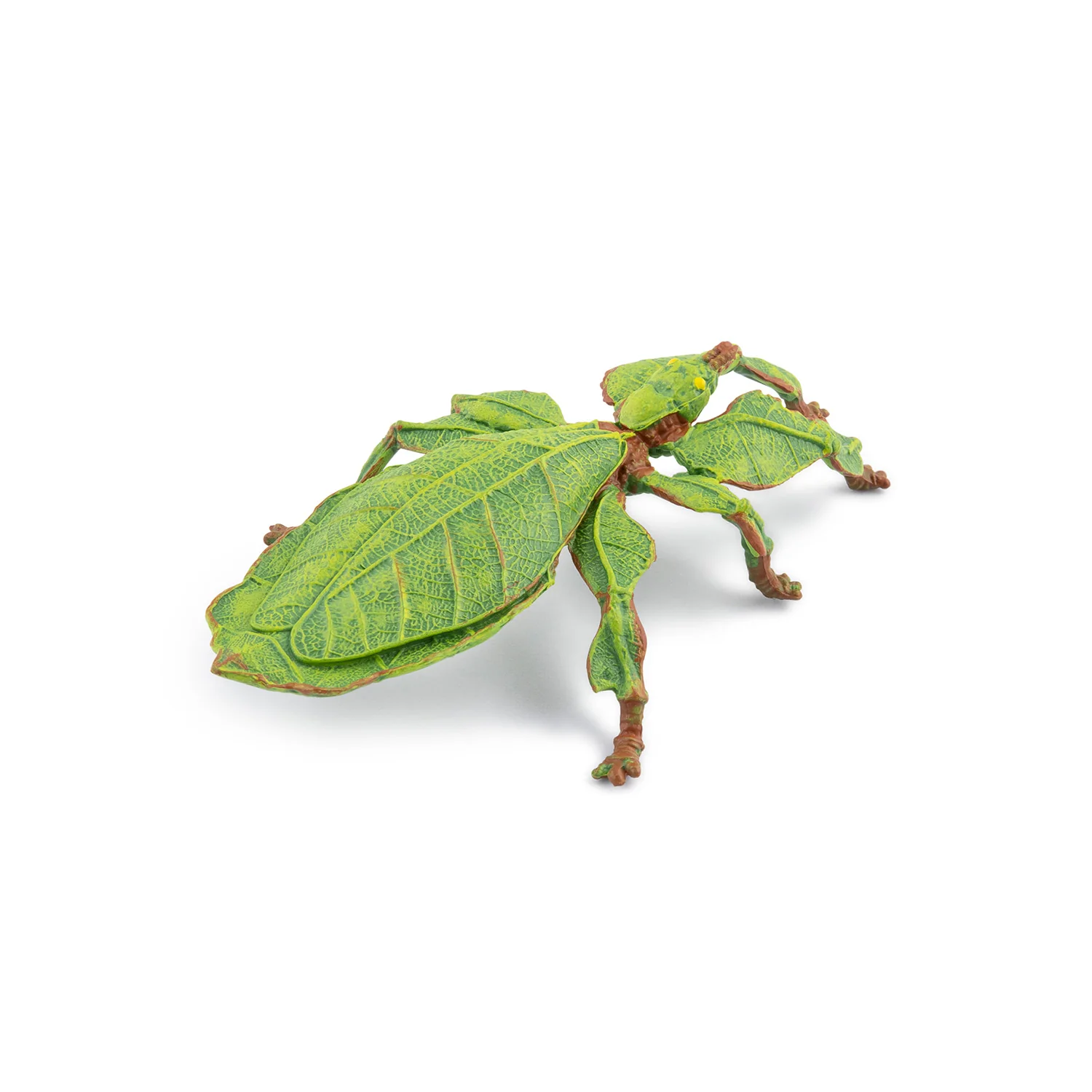 Miniature 5