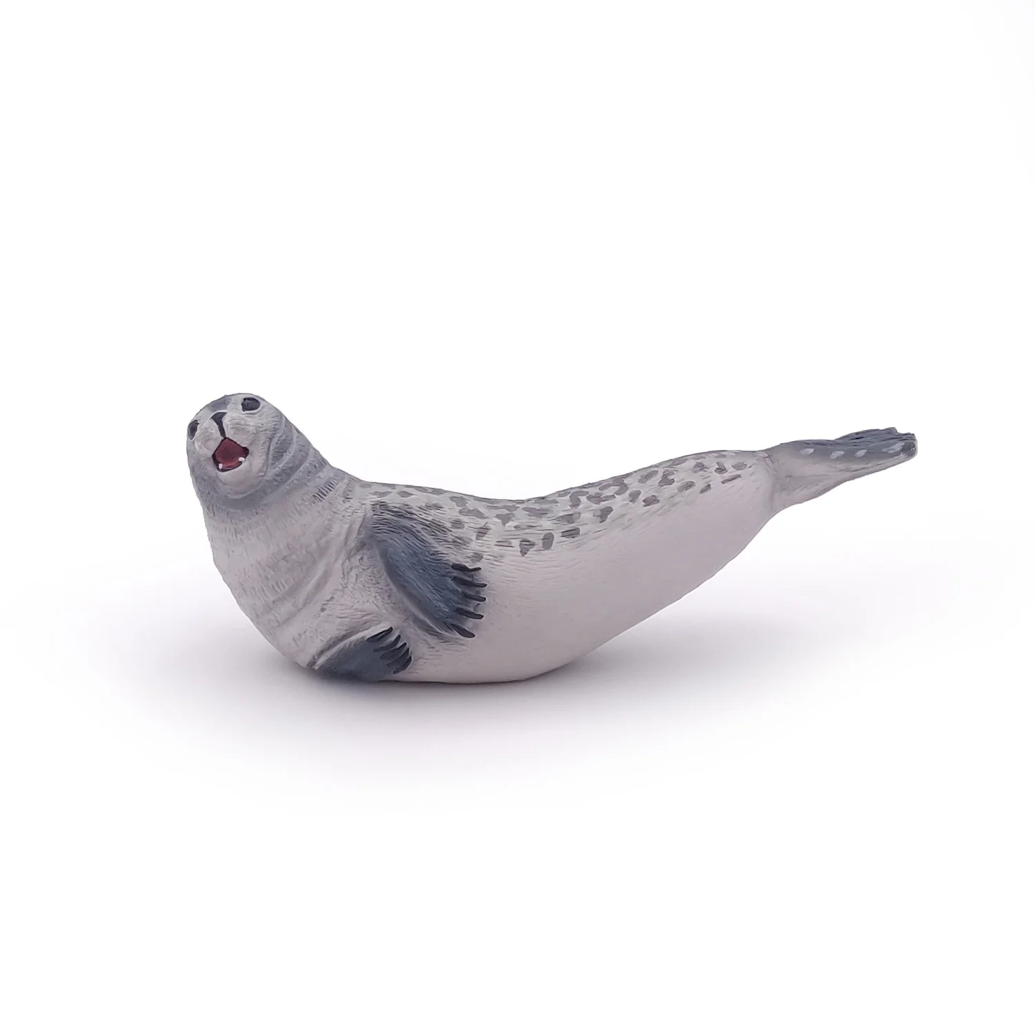 Miniature 5