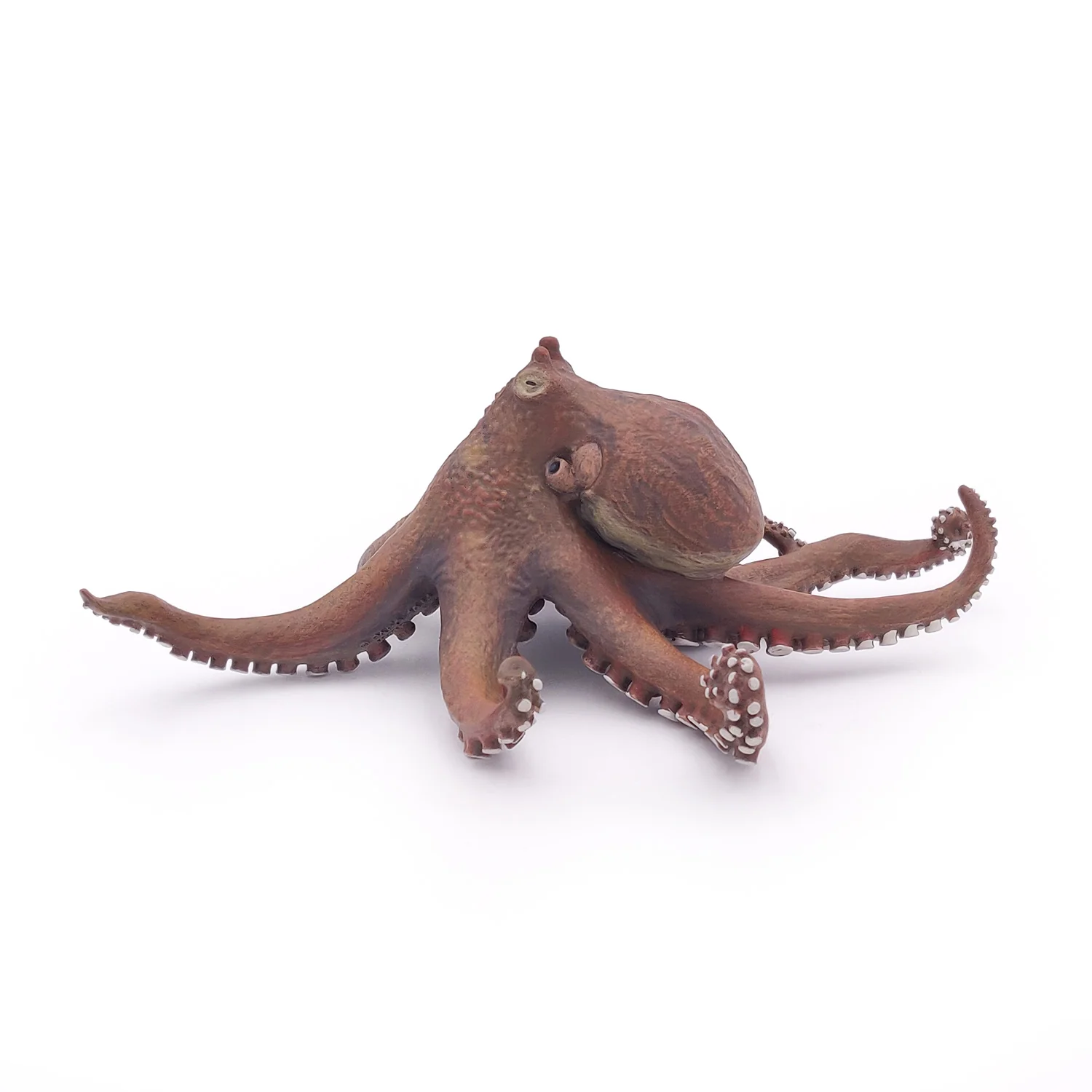 Miniature 4