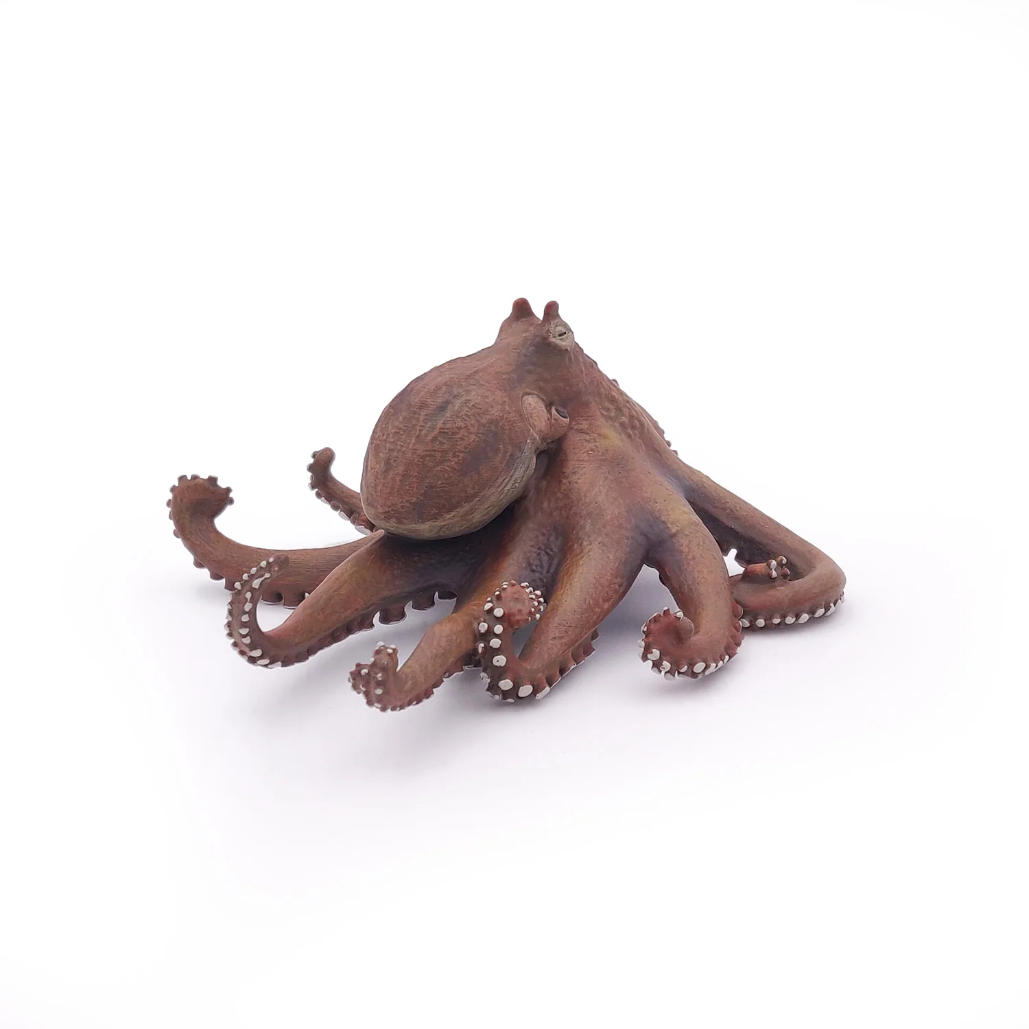 Miniature 5