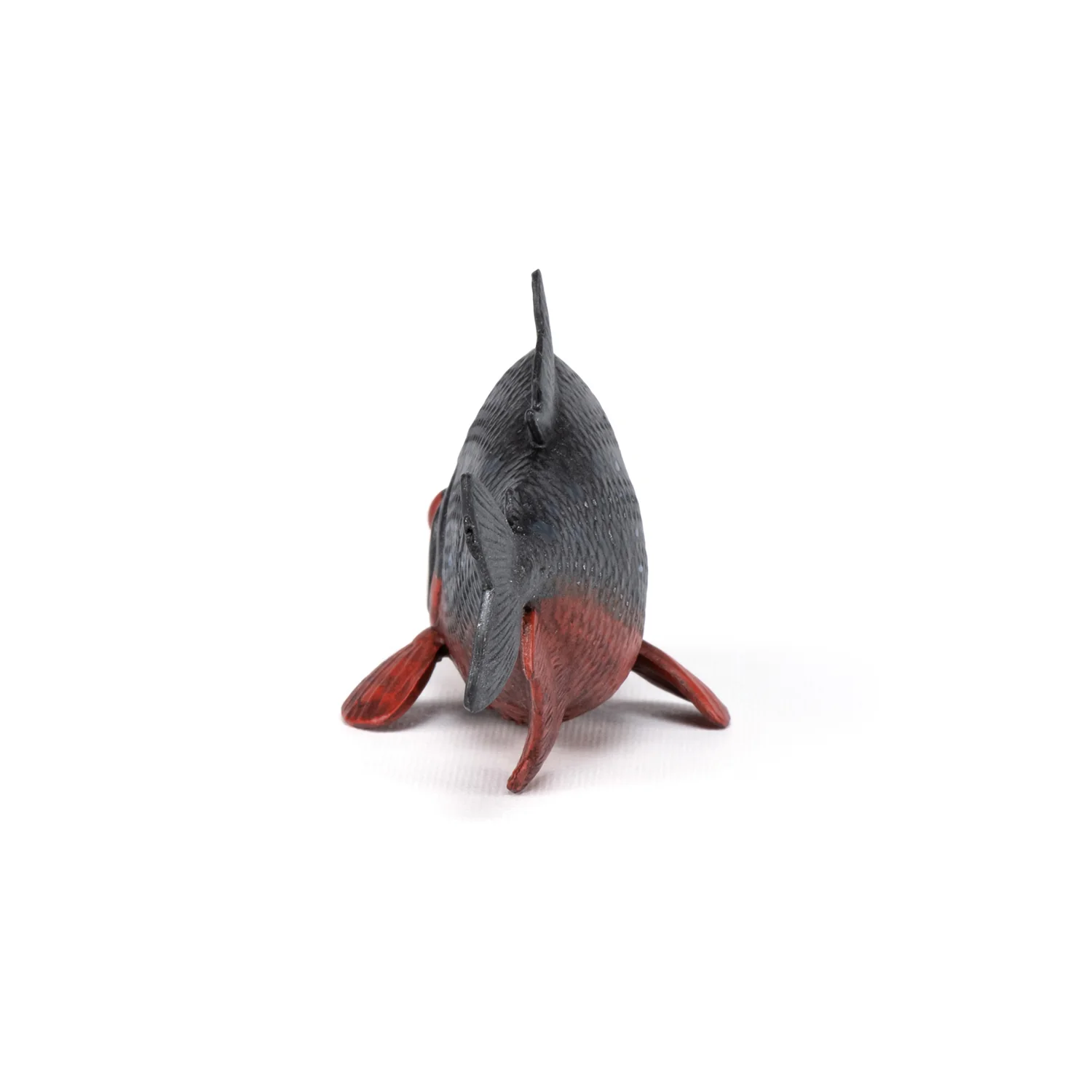 Miniature 5