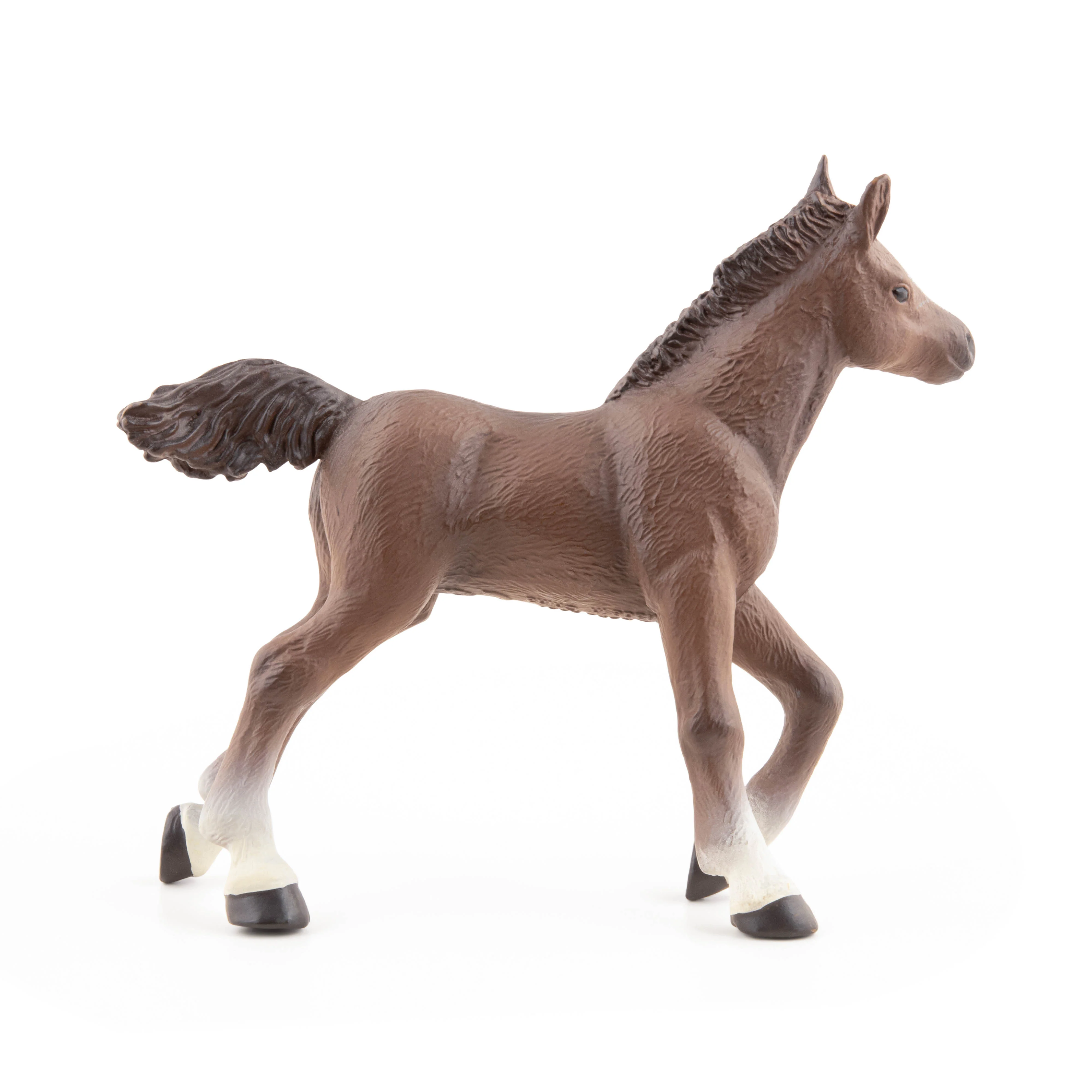 Miniature 5