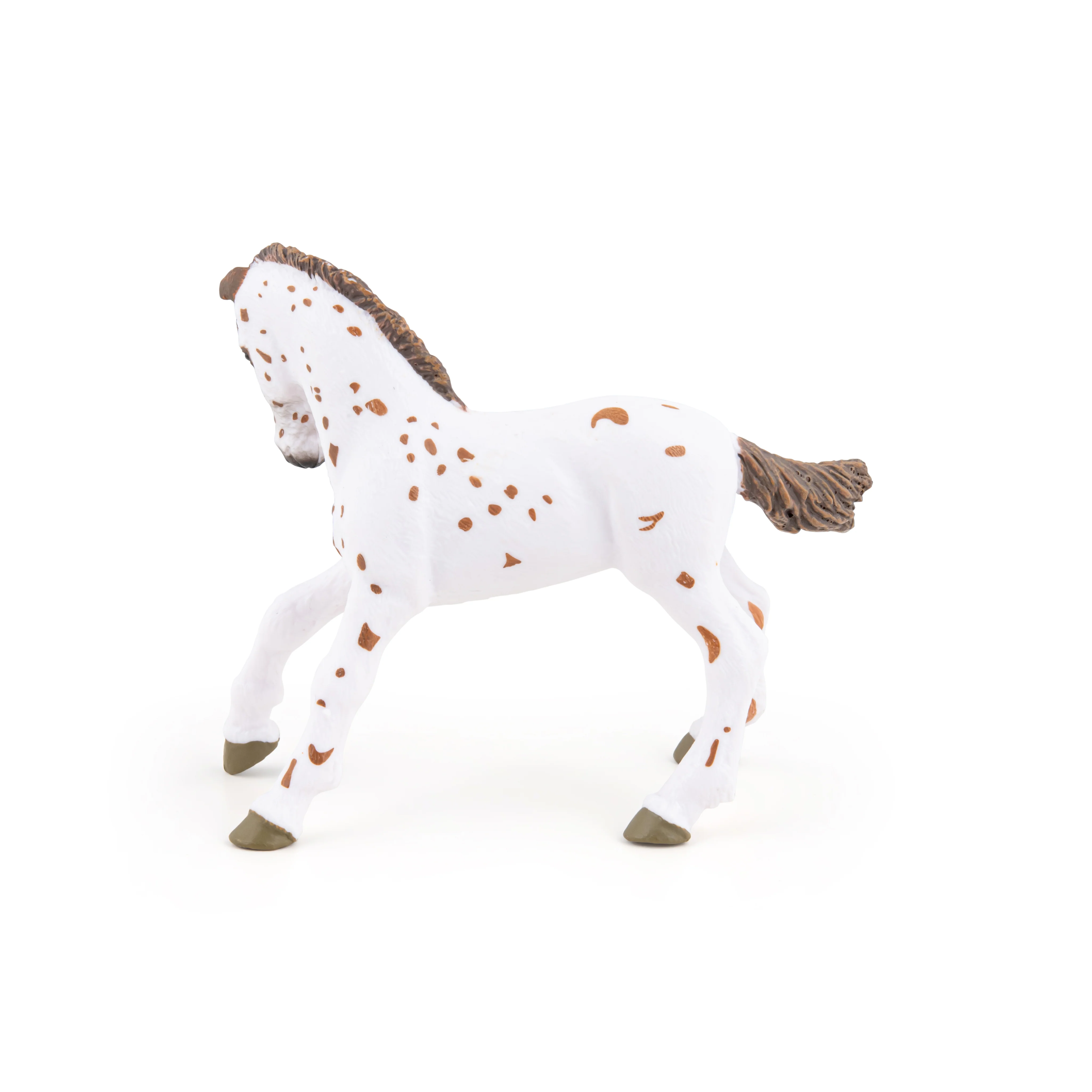 Miniature 5