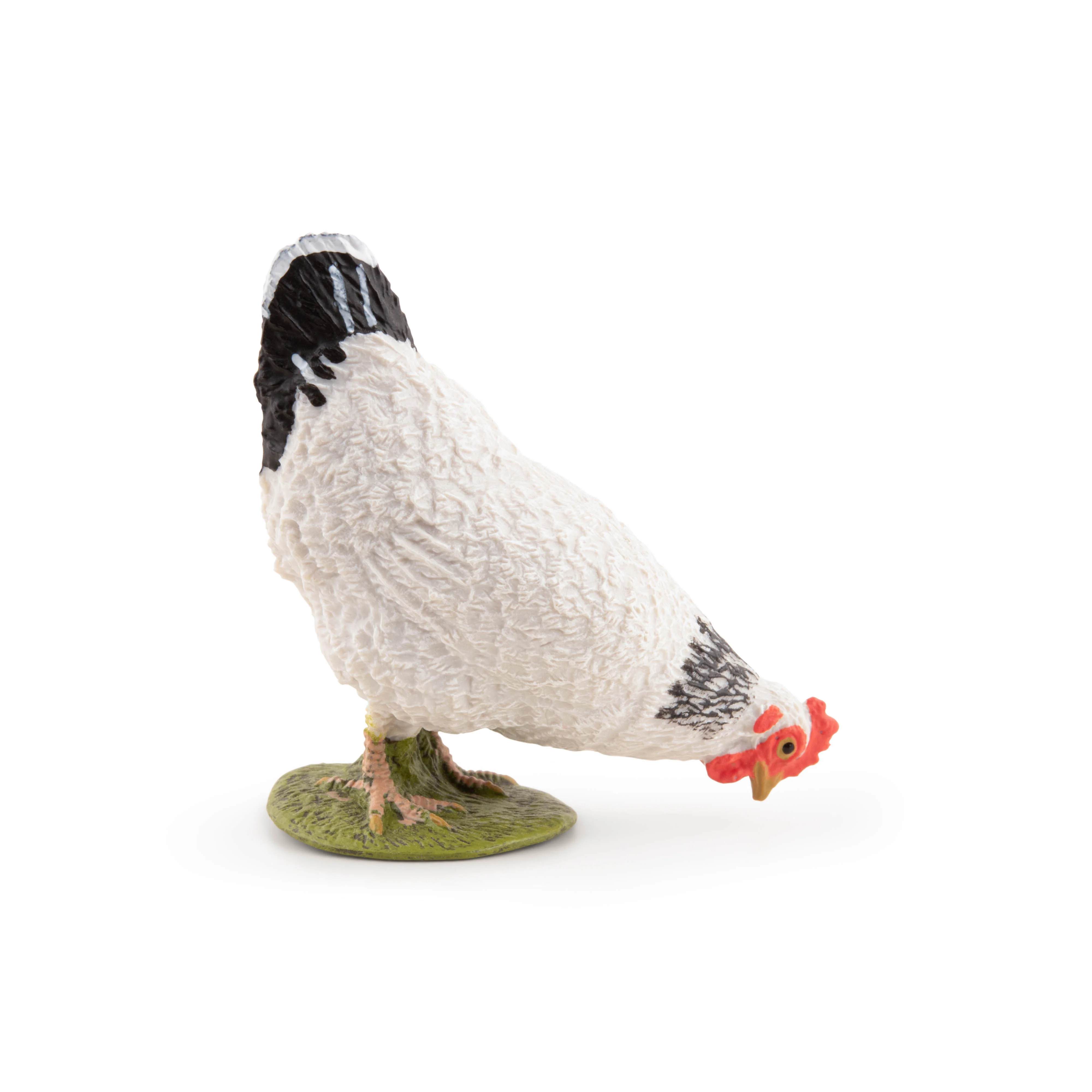 Miniature 5