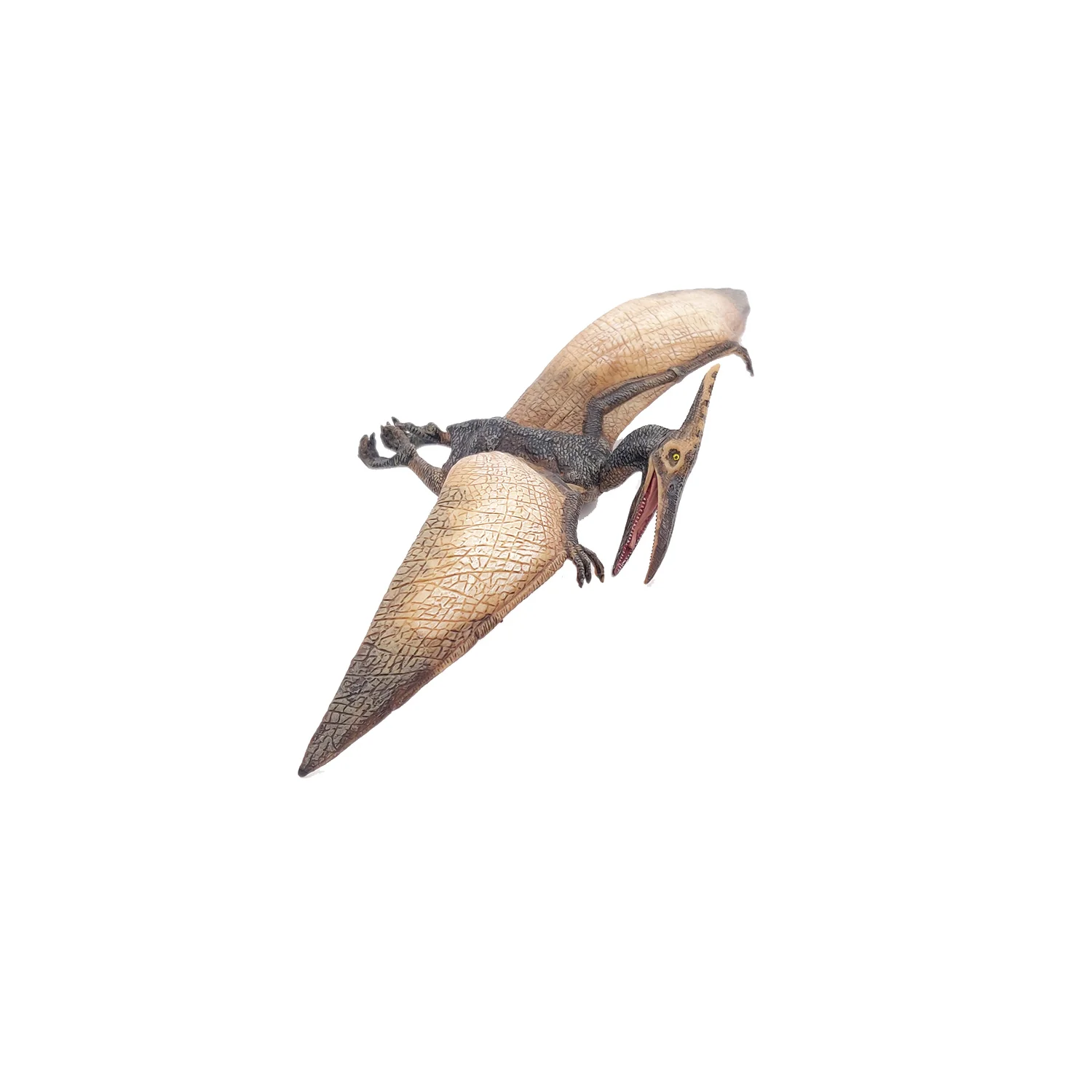 Miniature 5