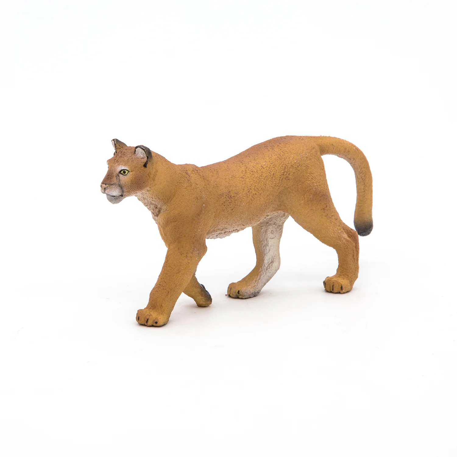 Miniature 5