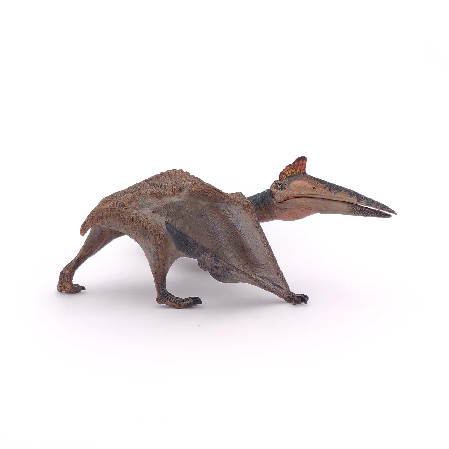 Miniature 5