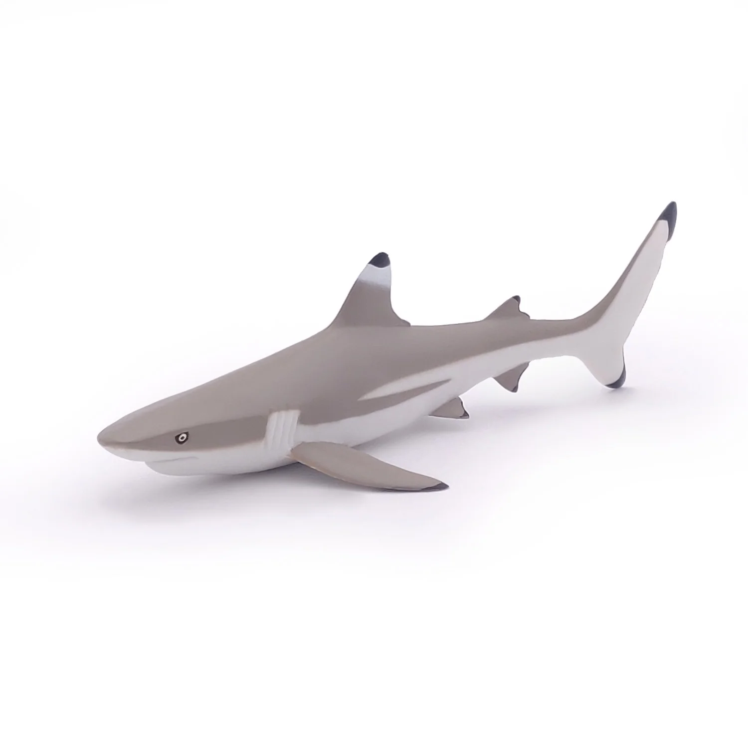 Miniature 5